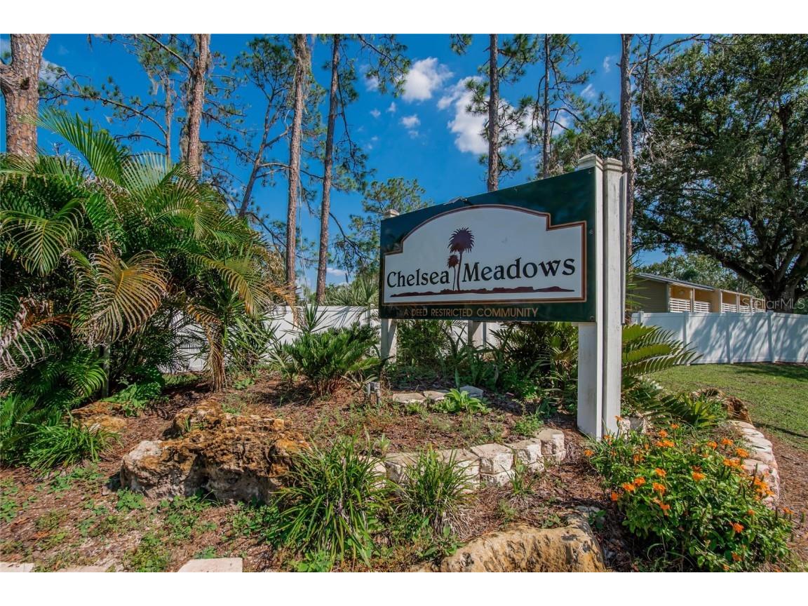 4415 Dylan Loop #179 Land O Lakes FL 34639 TB8429495 image49