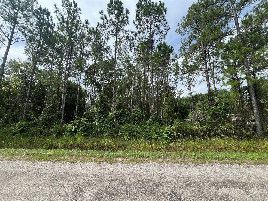 4415 Regina Street Hastings FL 32145 OK224202 image1