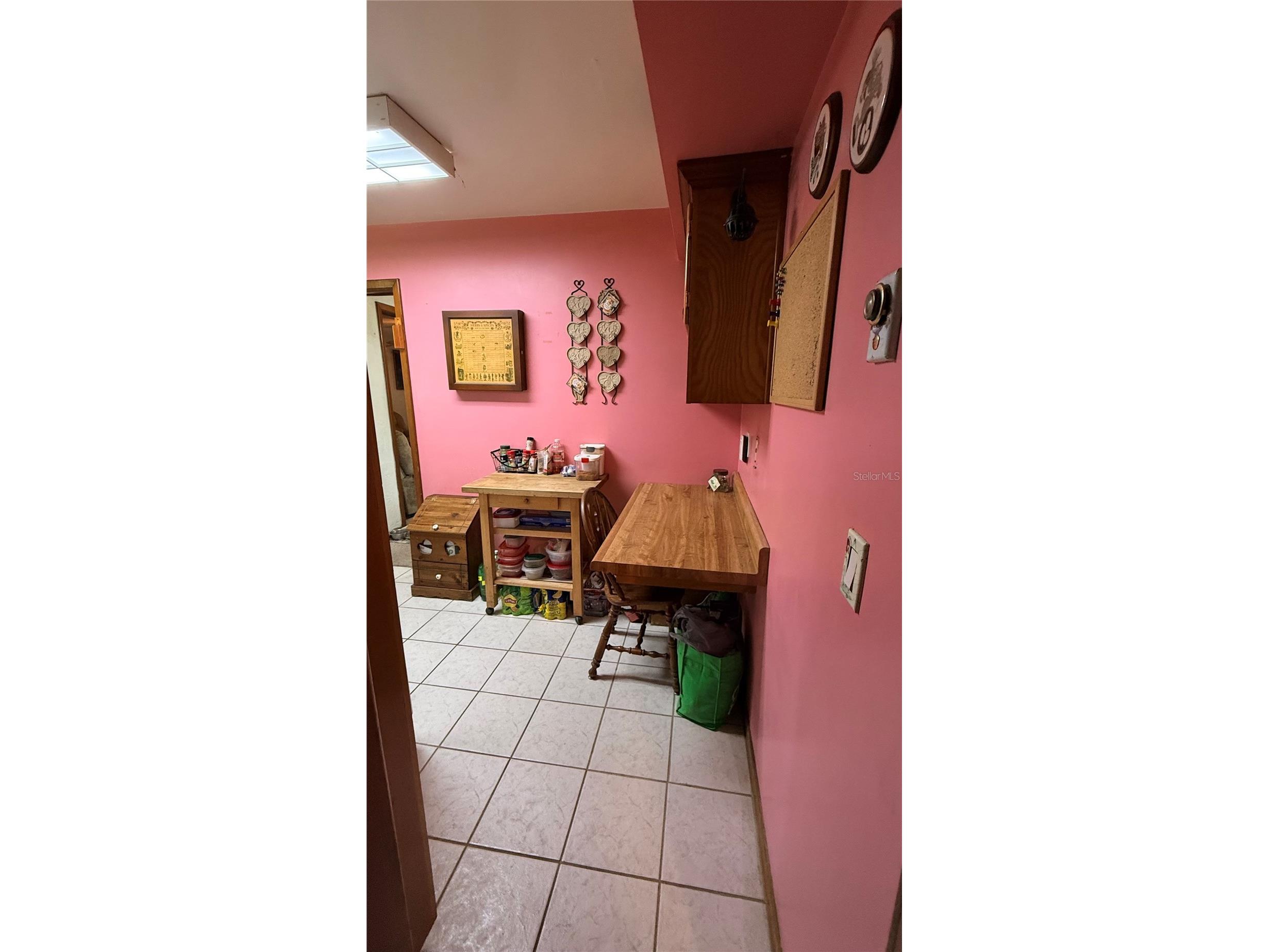 4415 W Paul Avenue Tampa FL 33611 TB8528510 image26