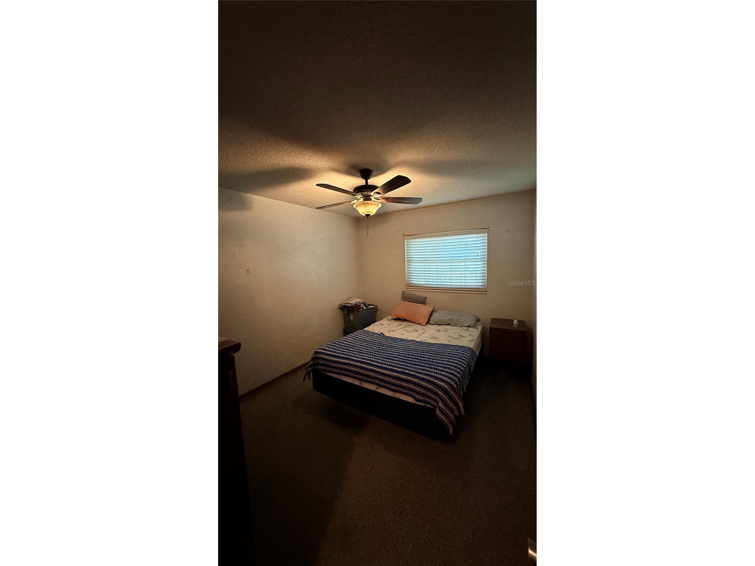 4415 W Paul Avenue Tampa FL 33611 TB8528510 image31