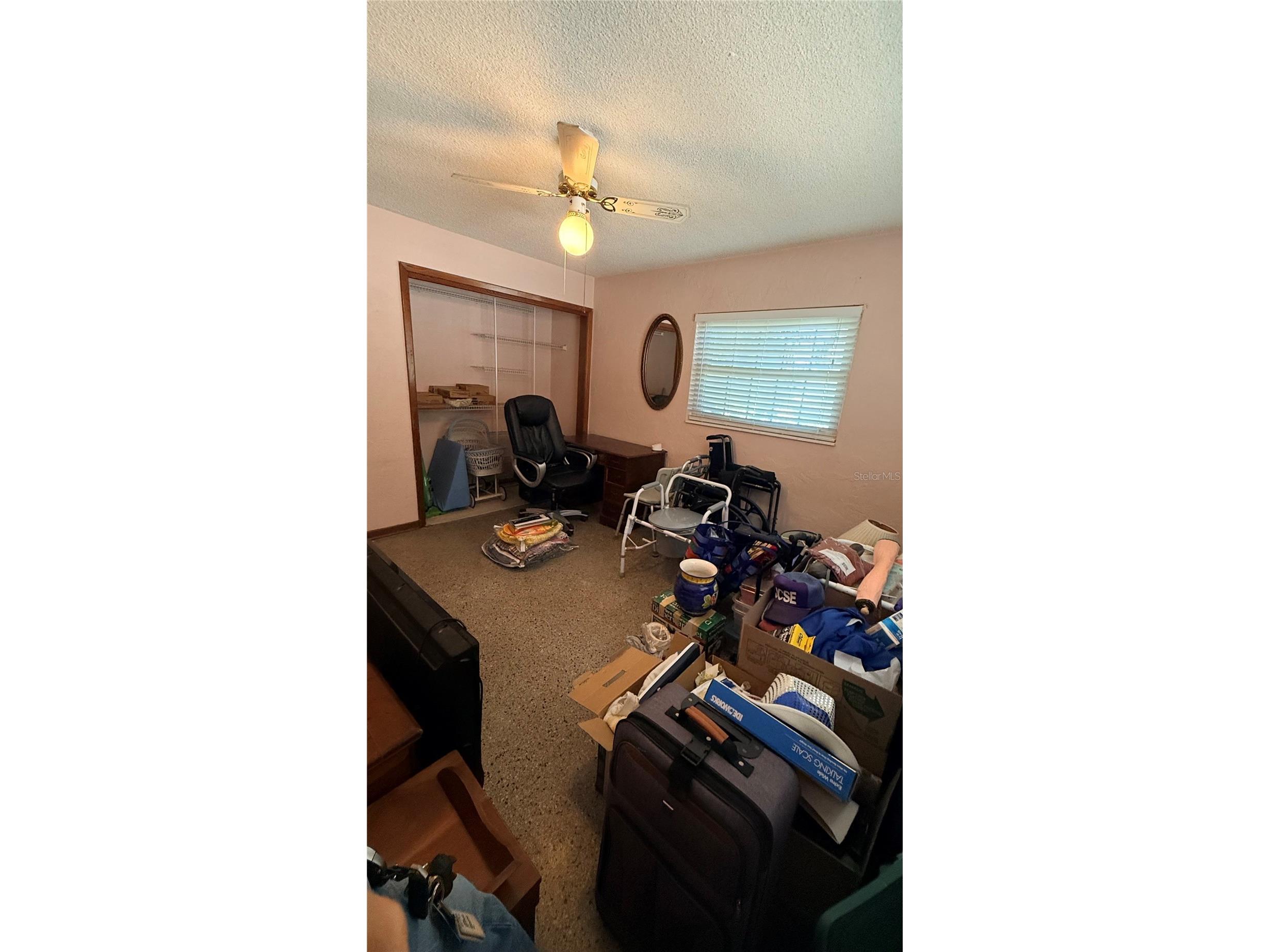 4415 W Paul Avenue Tampa FL 33611 TB8528510 image33