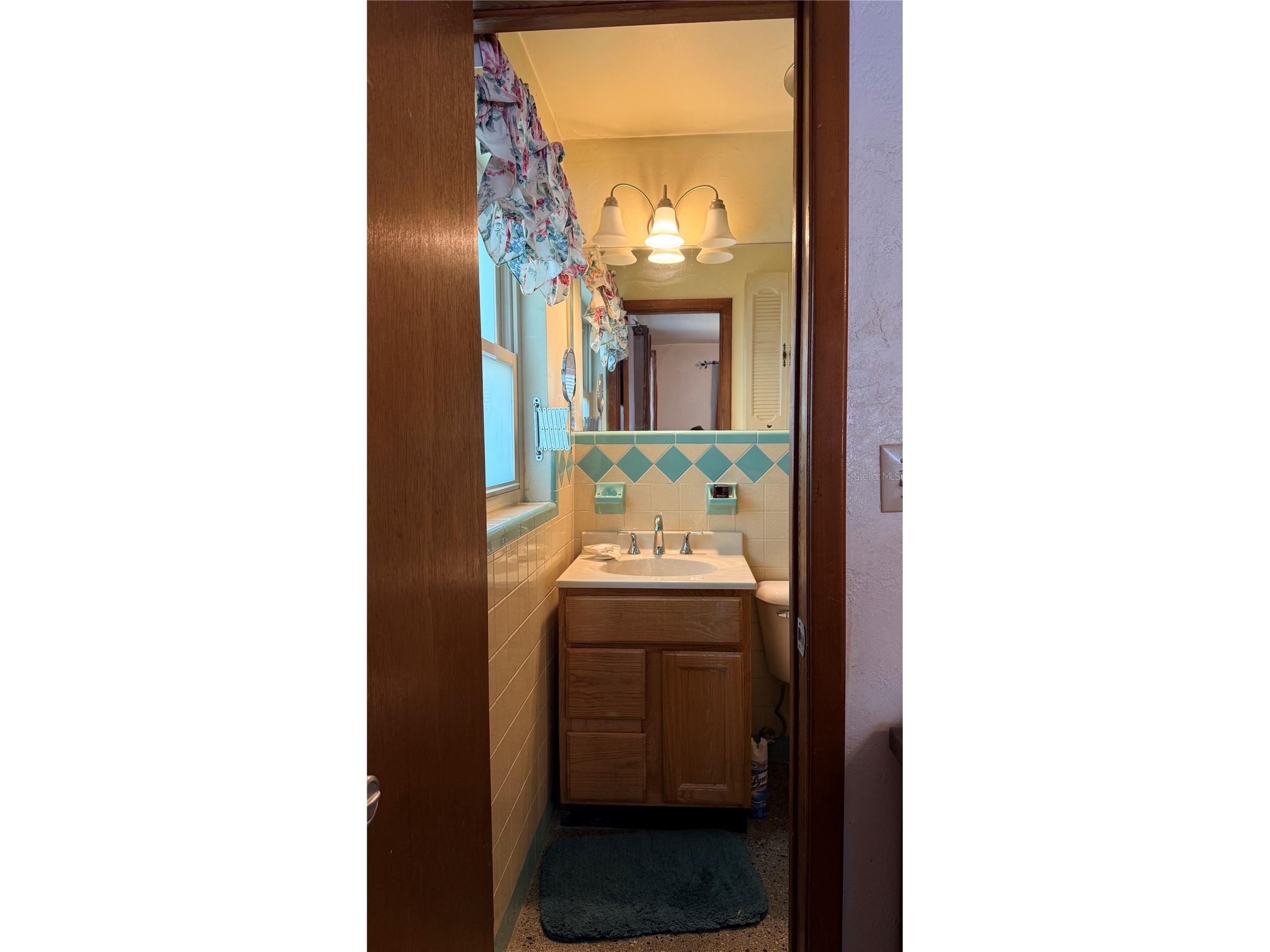 4415 W Paul Avenue Tampa FL 33611 TB8528510 image36