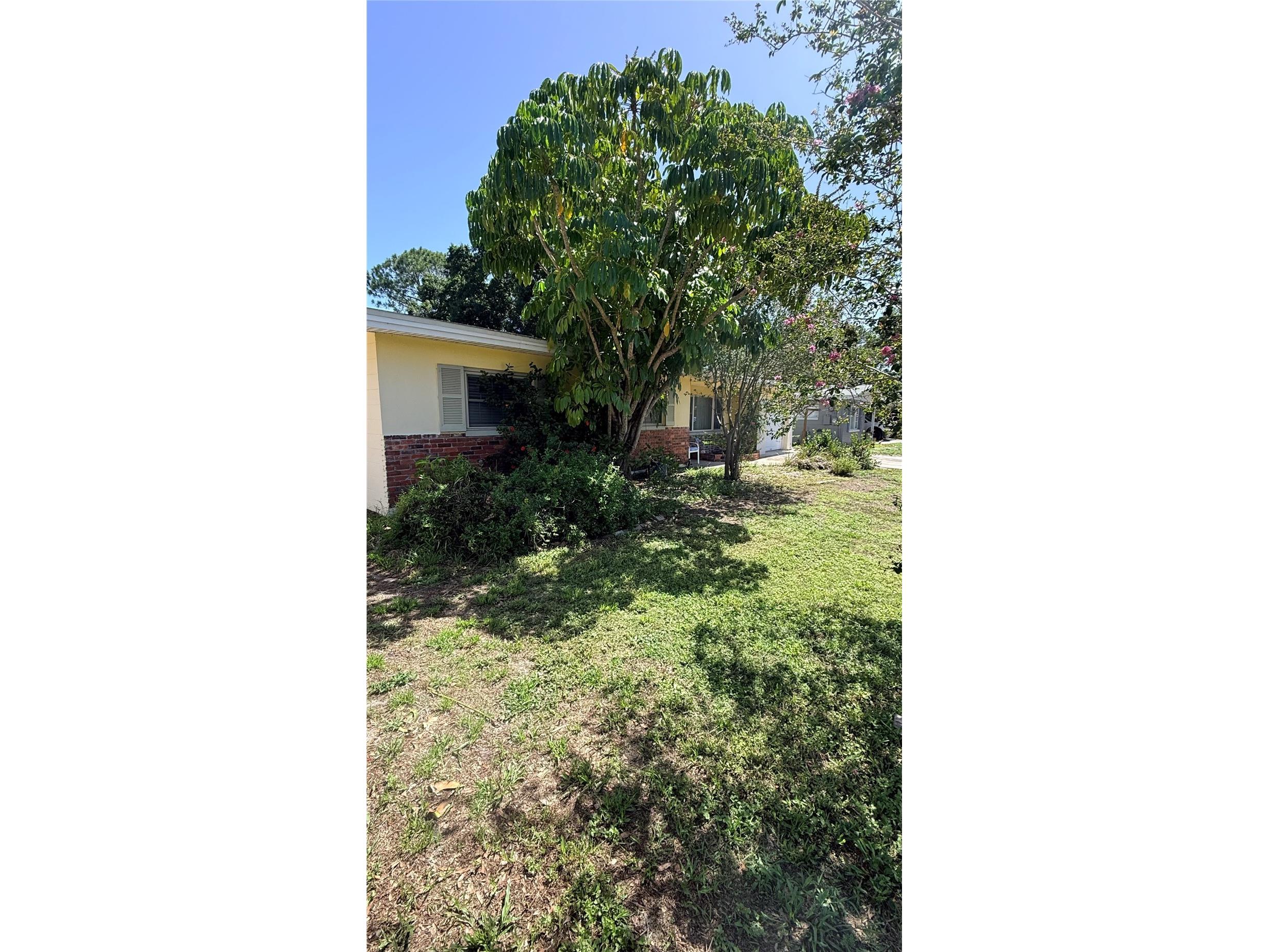 4415 W Paul Avenue Tampa FL 33611 TB8528510 image5
