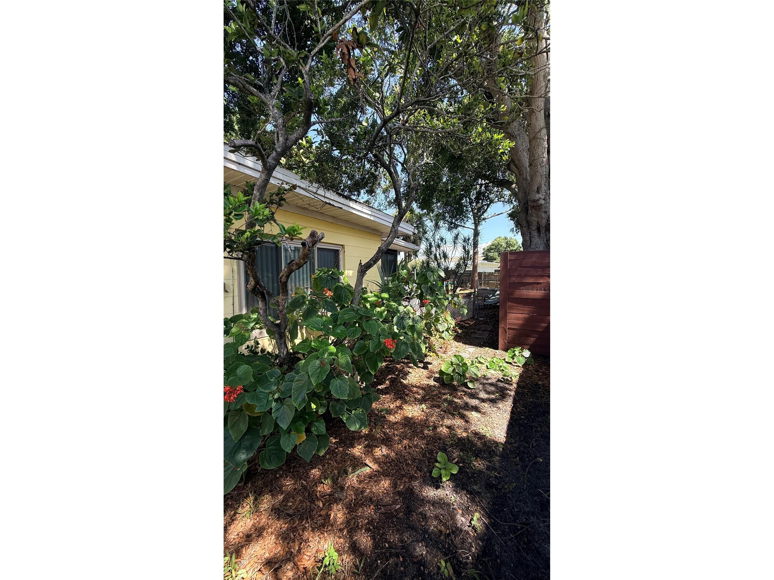 4415 W Paul Avenue Tampa FL 33611 TB8528510 image8