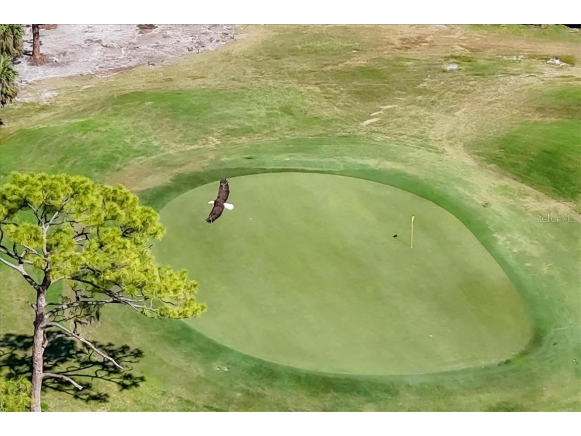 4416 Calle Serena Sarasota FL 34238 A4671545 image52