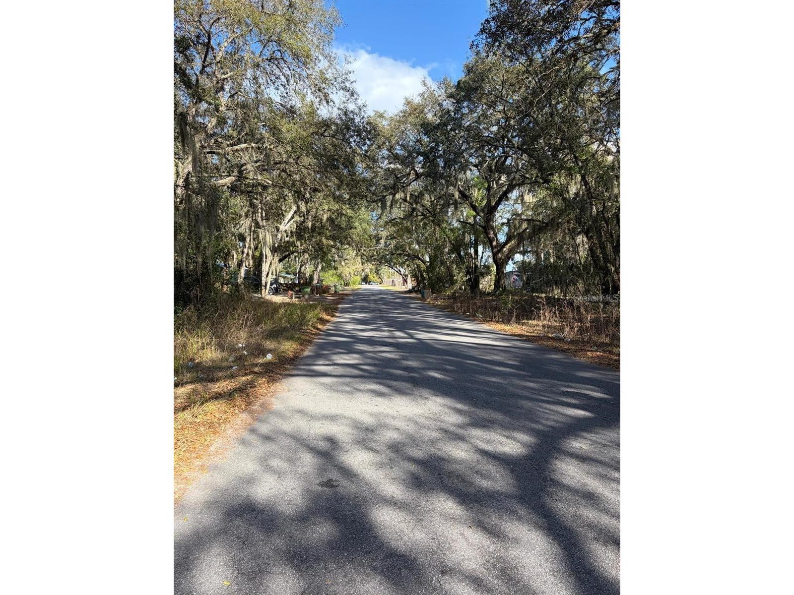 4416 Cobalt Street Palatka FL 32177 O6389250 image1