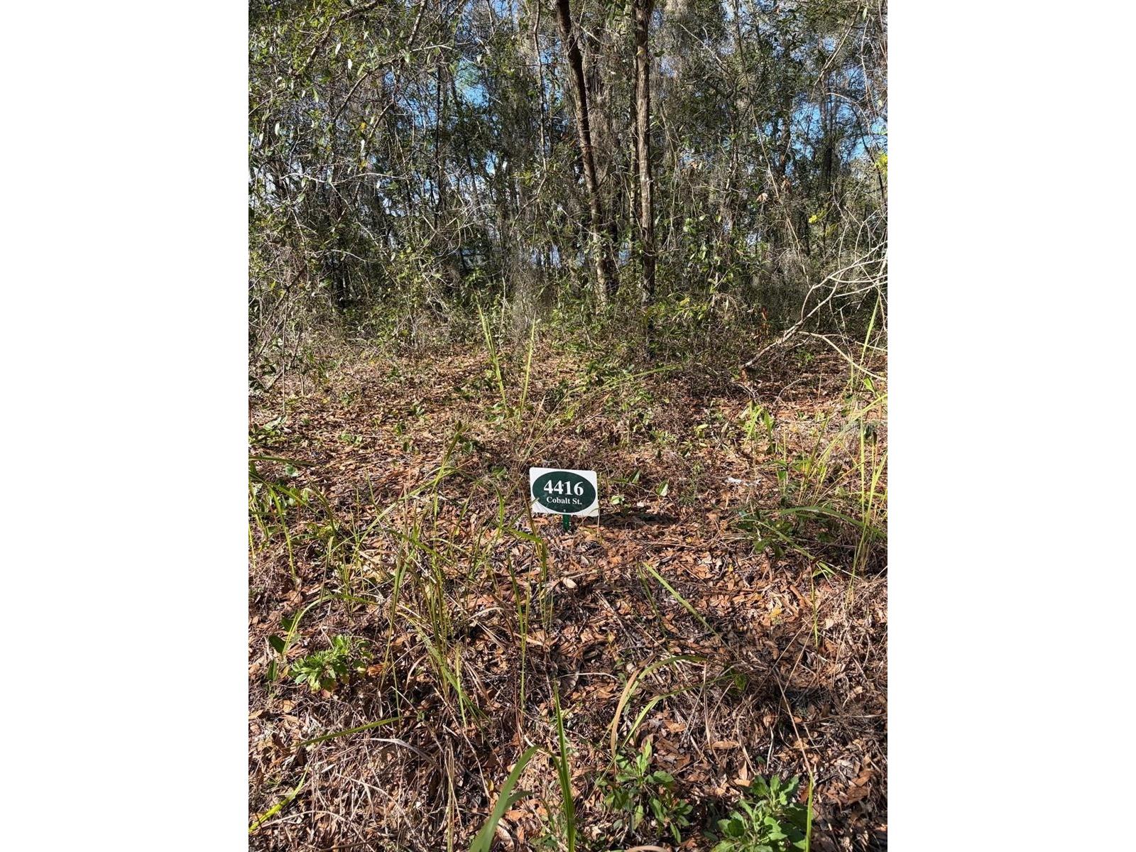 4416 Cobalt Street Palatka FL 32177 O6389250 image3