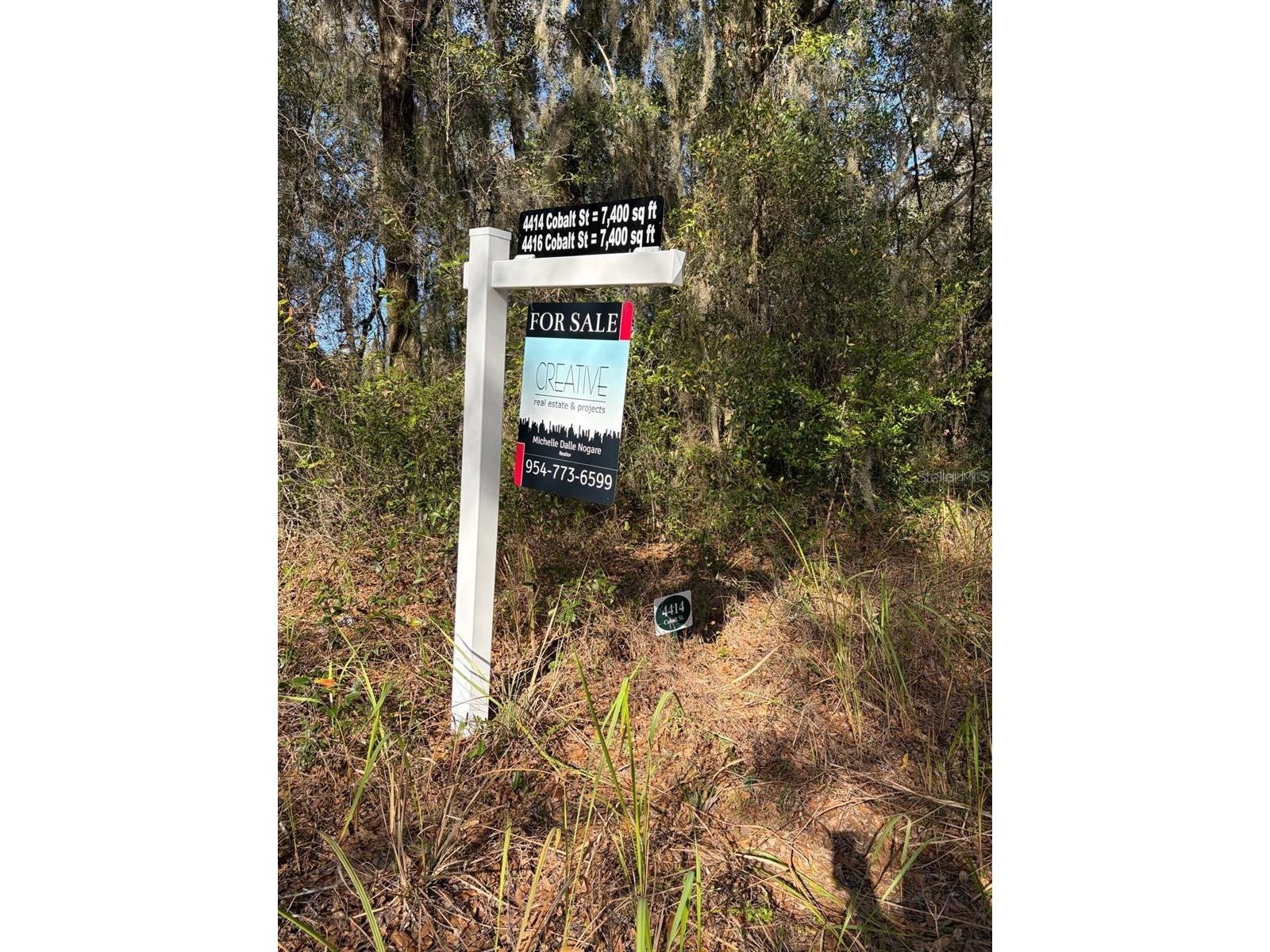 4416 Cobalt Street Palatka FL 32177 O6389250 image4