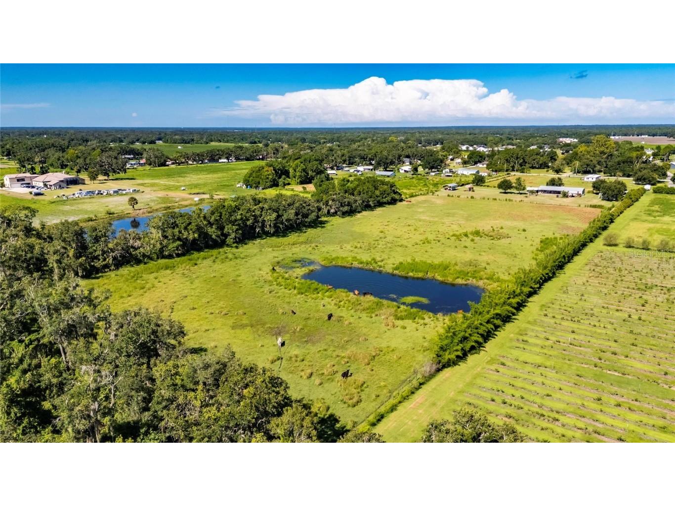 4416 Pippin Road Plant City FL 33567 TB8410684 image71