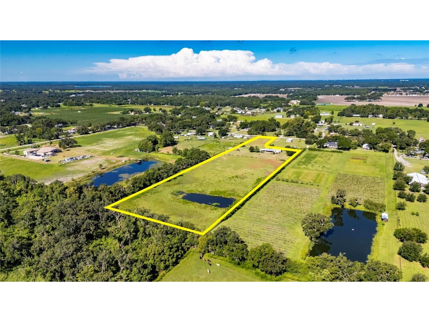 4416 Pippin Road Plant City FL 33567 TB8410684 image81