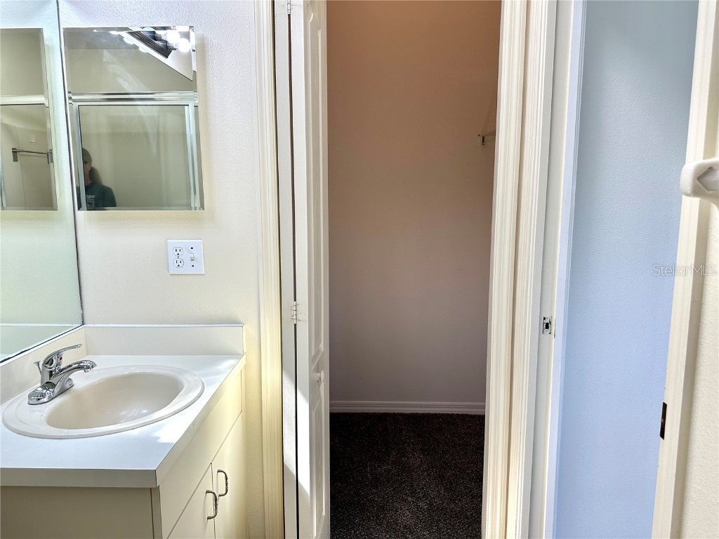 4416 Redcoat Drive Wesley Chapel FL 33543 TB8434198 image24