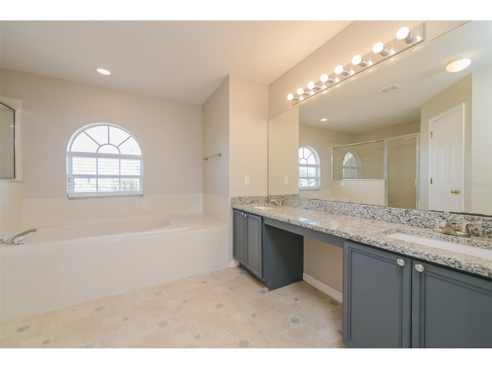 4417 Canopy Court Kissimmee FL 34758 O6386701 image10