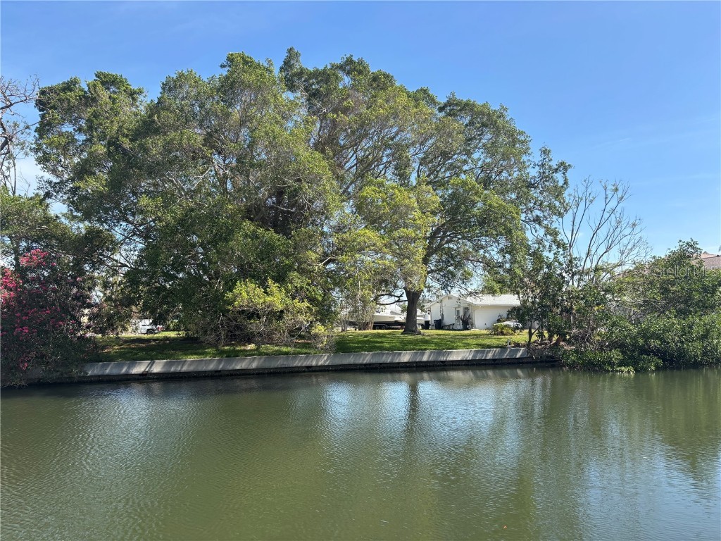 4417 Dolphin Lane Palmetto FL 34221 A4649640 image1