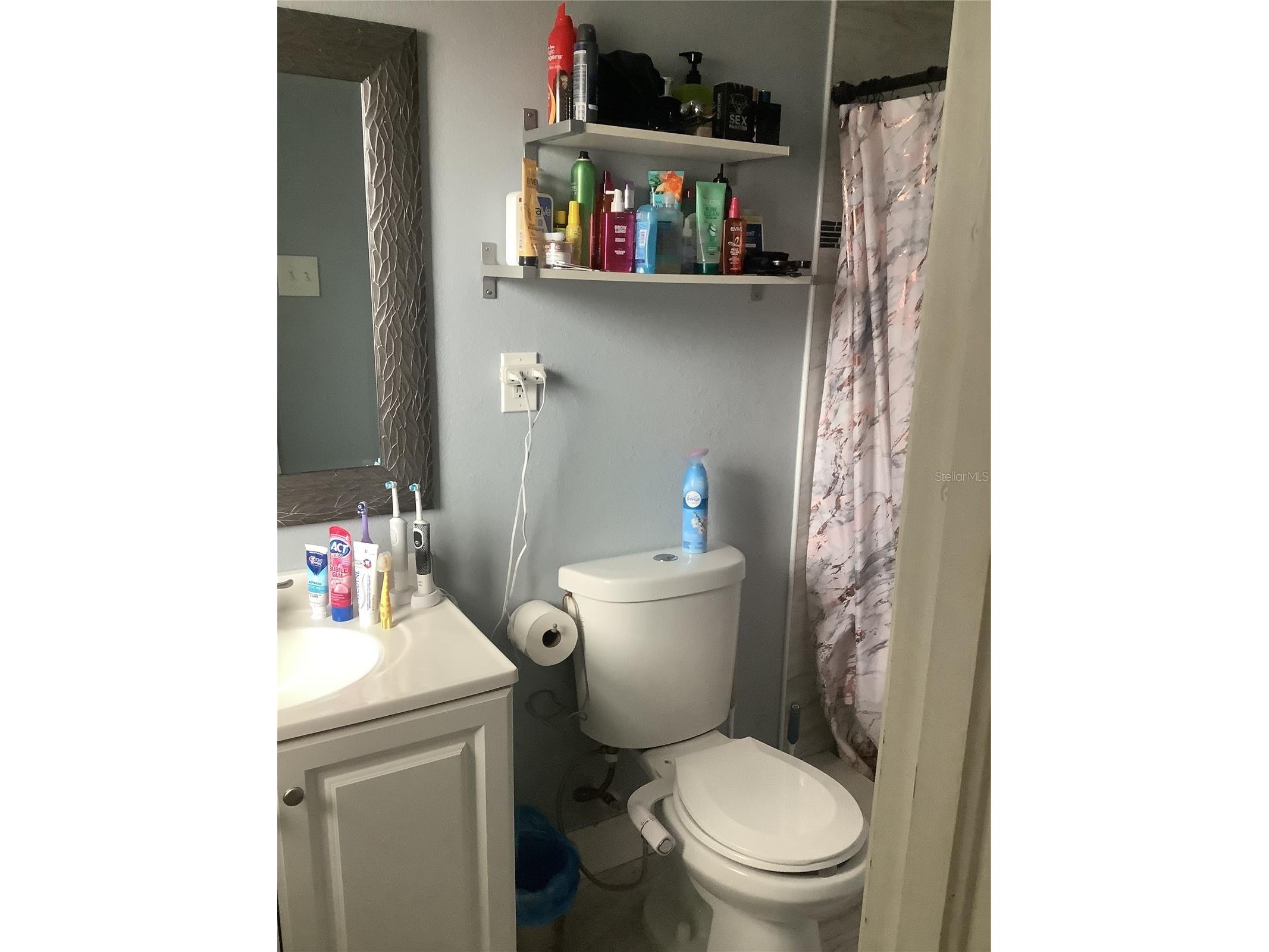 4417 Perch Street Tampa FL 33617 TB8475913 image11