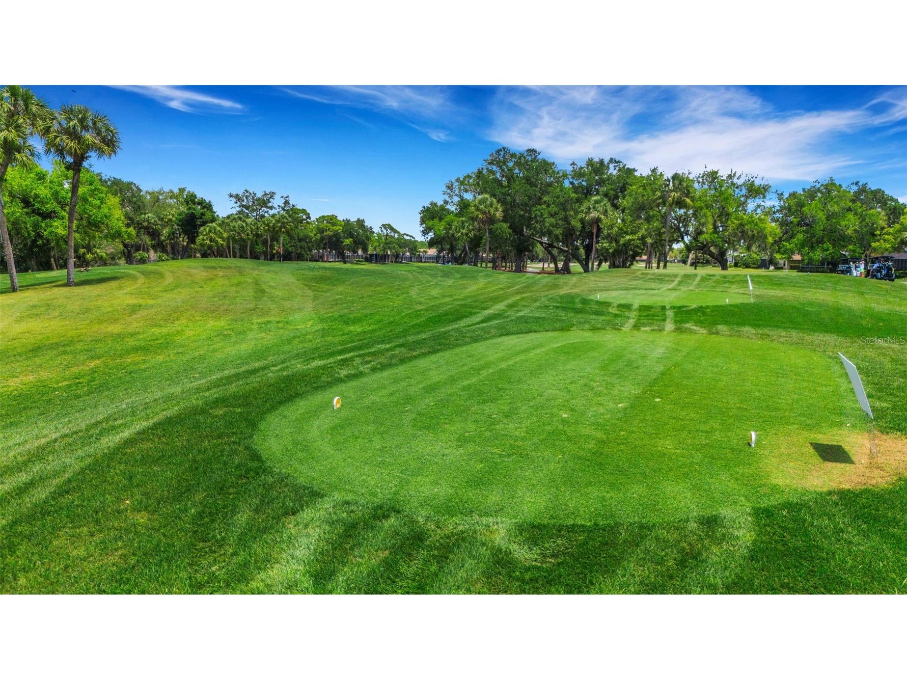 4418 La Jolla Drive Bradenton FL 34210 A4690660 image65