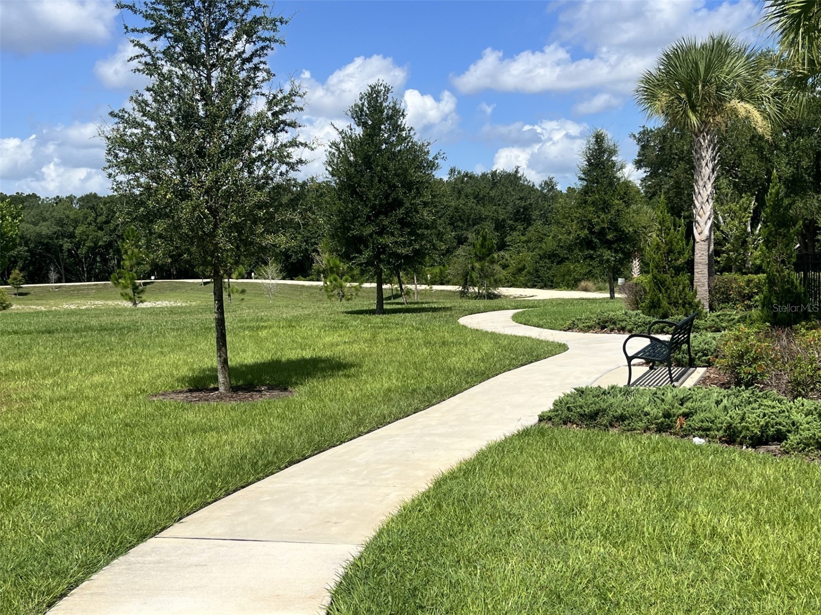 4418 Lions Gate Avenue Clermont FL 34711 G5113675 image39