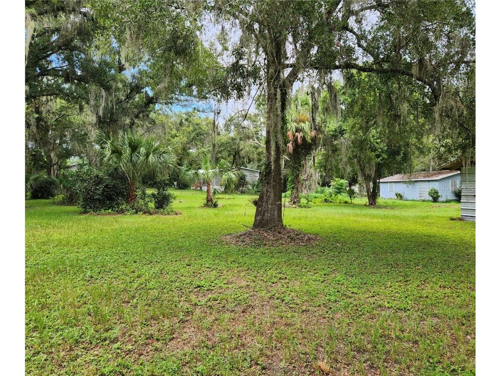 4419 Tevalo Drive Valrico FL 33596 L4934042 image1