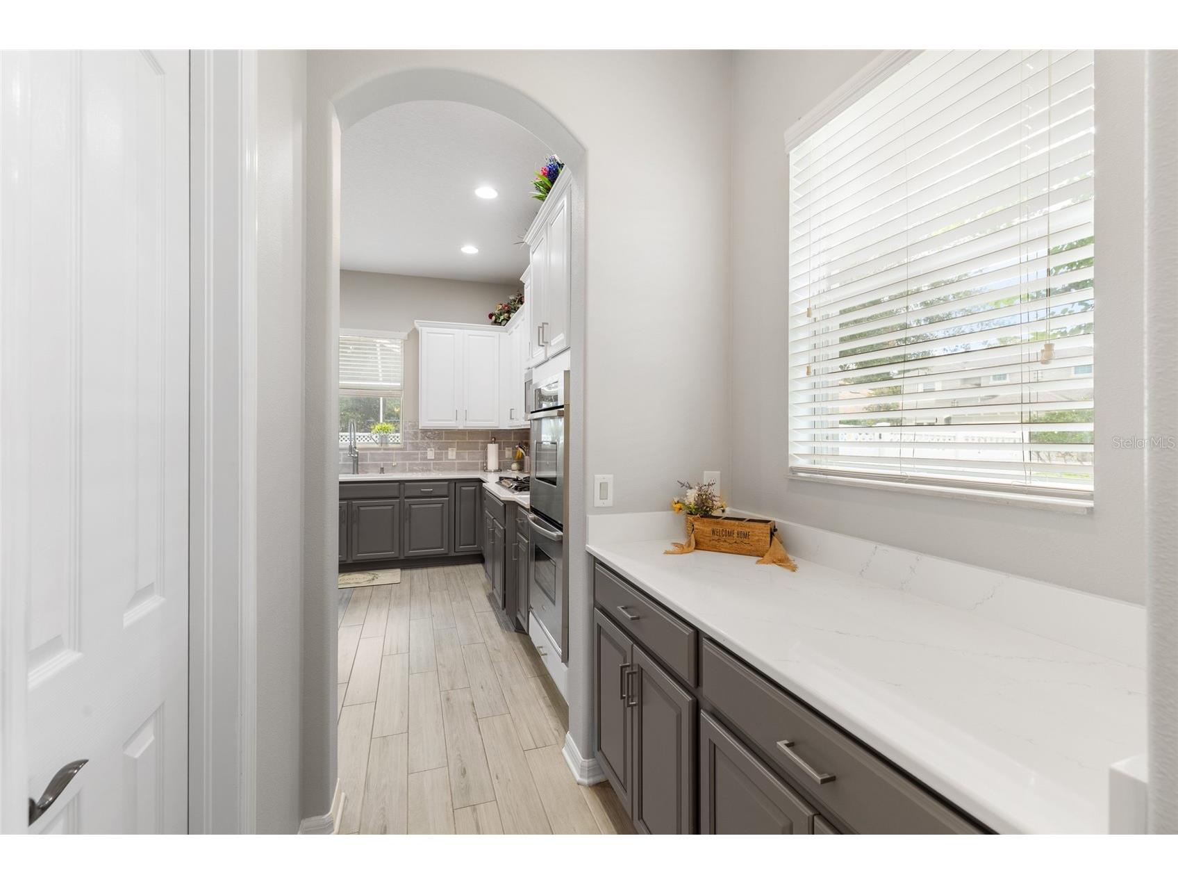 4419 Wildstar Circle Wesley Chapel FL 33544 TB8515886 image11
