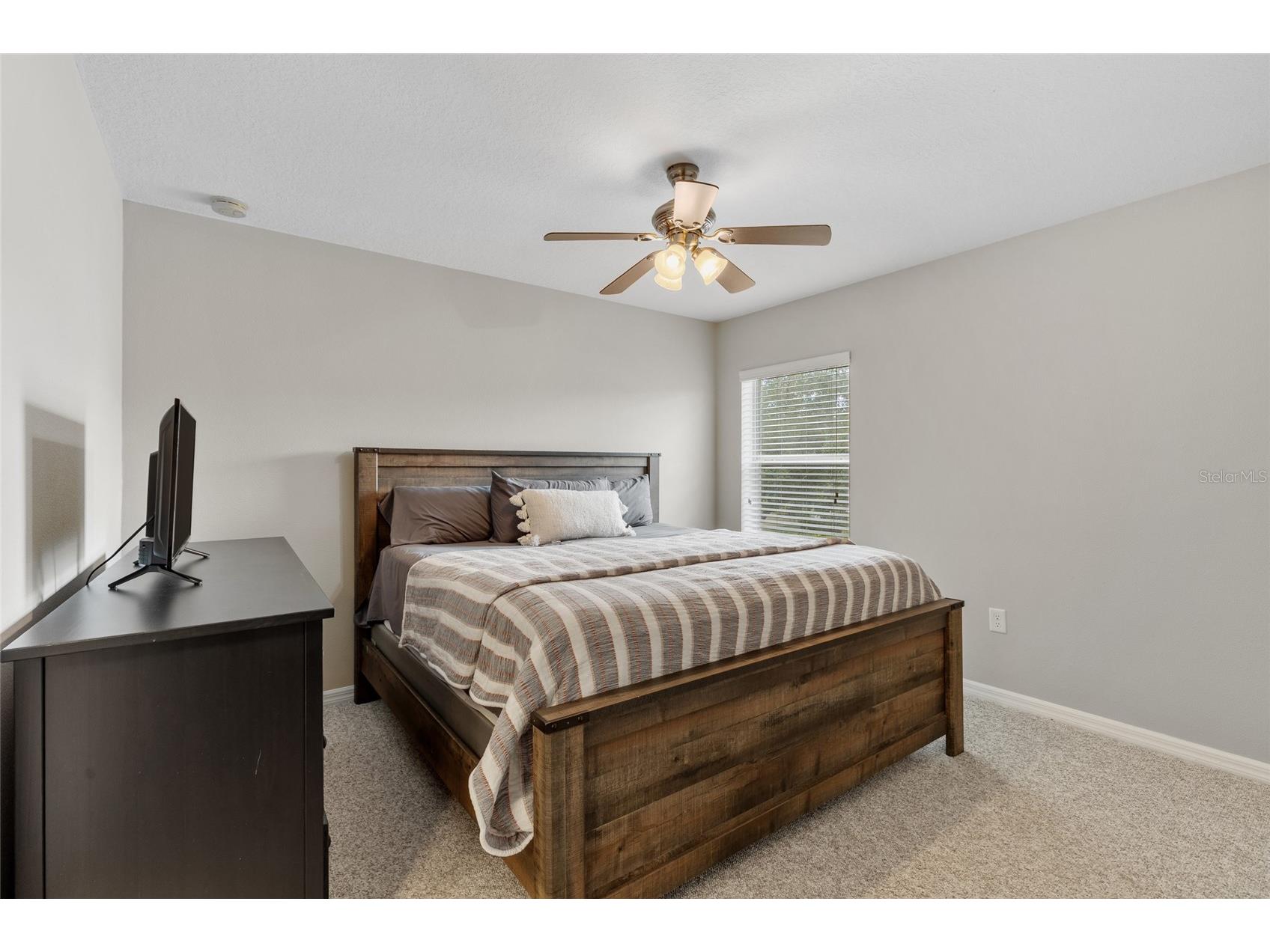 4419 Wildstar Circle Wesley Chapel FL 33544 TB8515886 image34