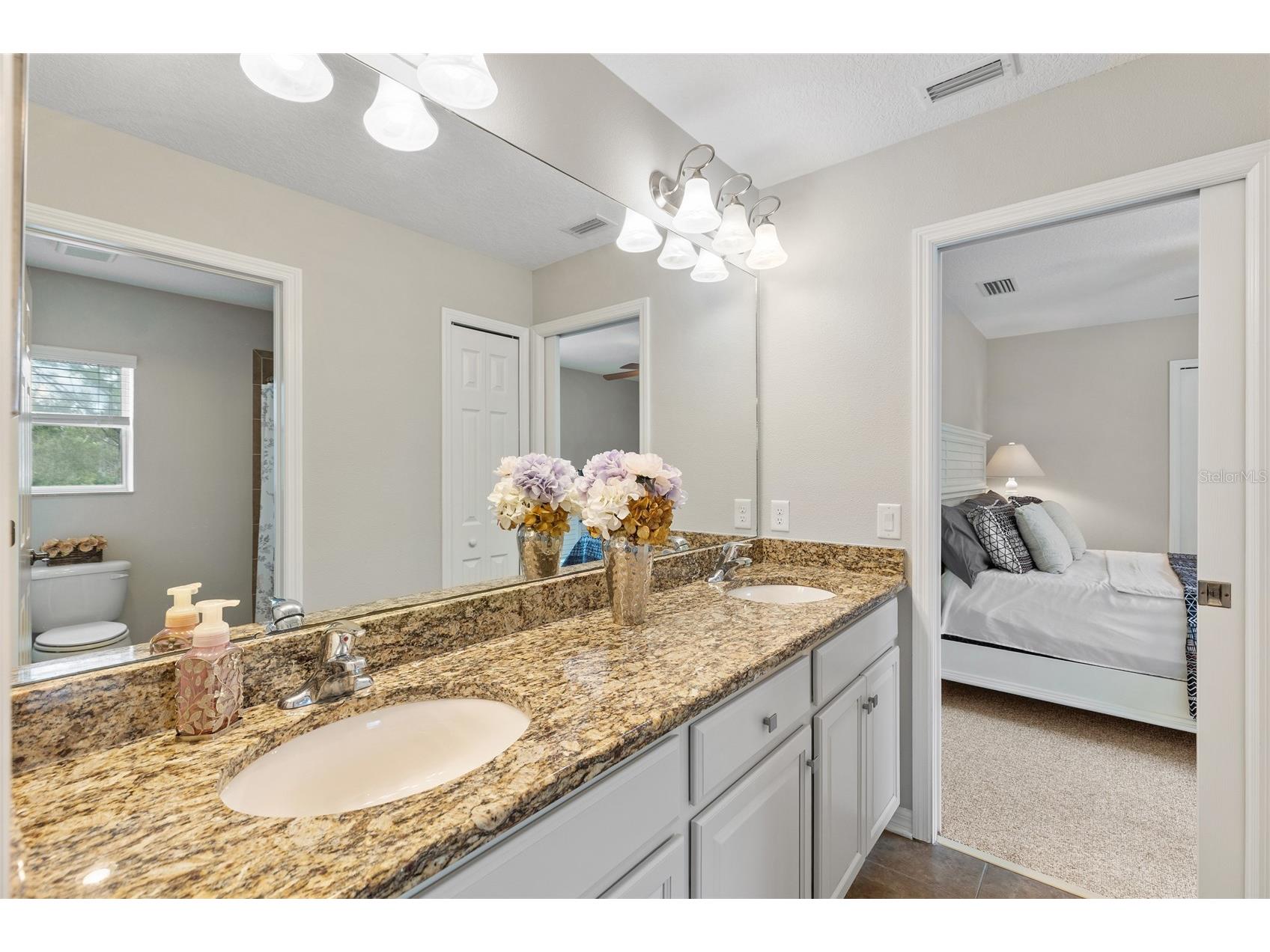 4419 Wildstar Circle Wesley Chapel FL 33544 TB8515886 image36