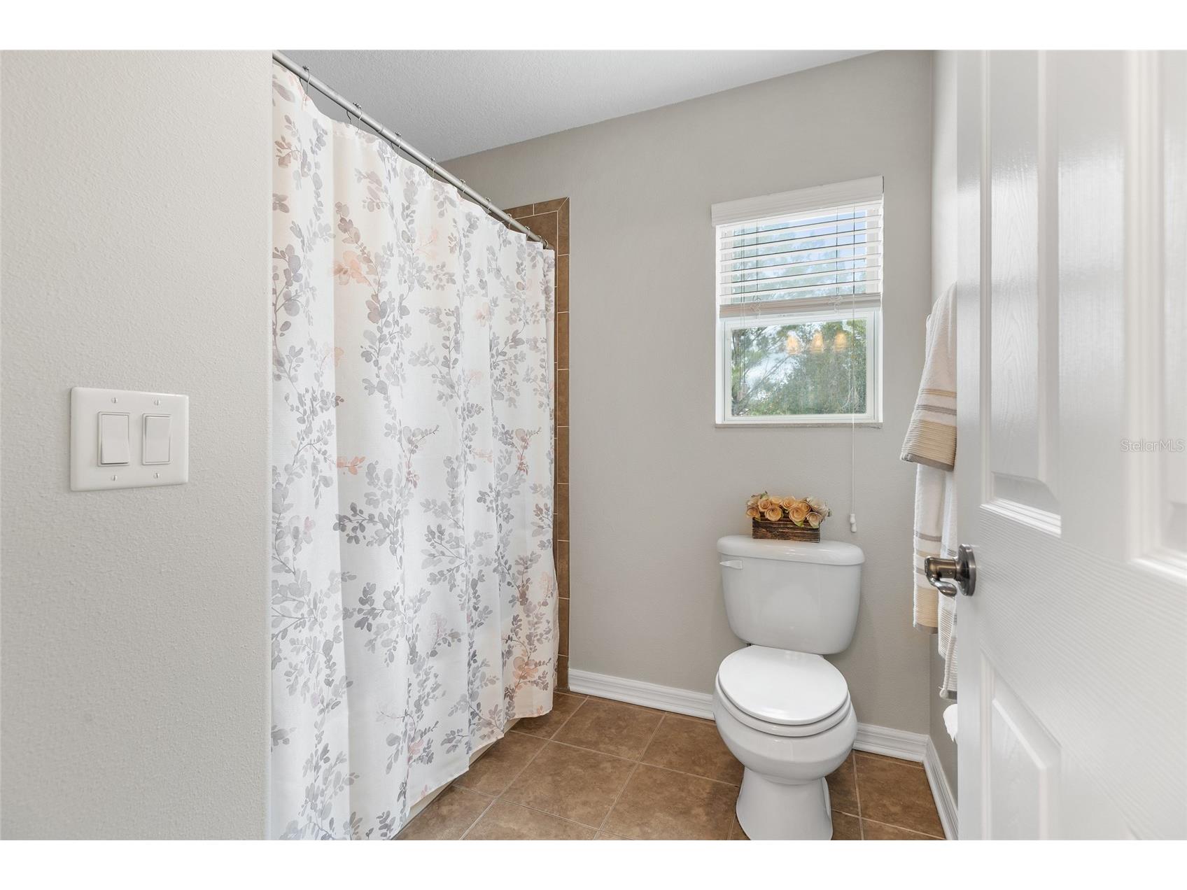 4419 Wildstar Circle Wesley Chapel FL 33544 TB8515886 image37