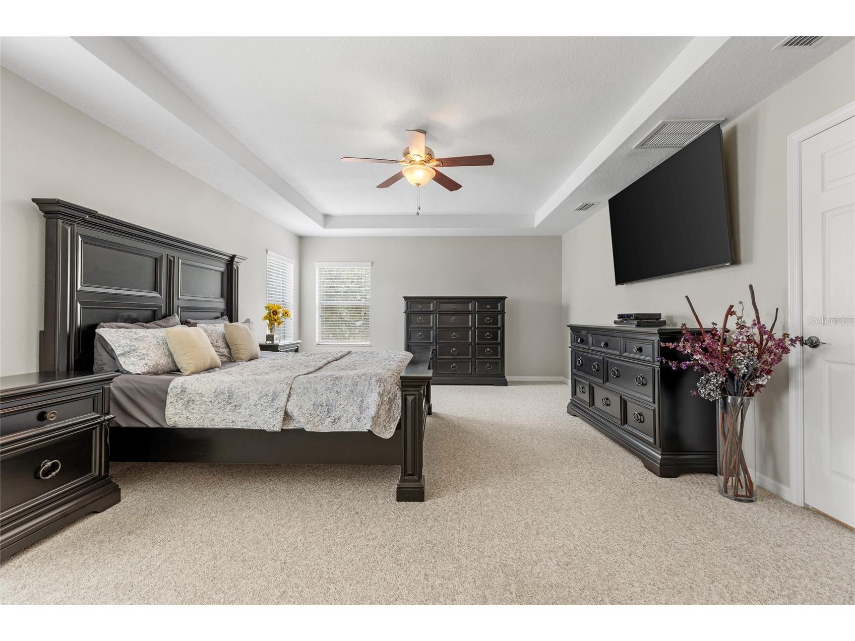 4419 Wildstar Circle Wesley Chapel FL 33544 TB8515886 image41