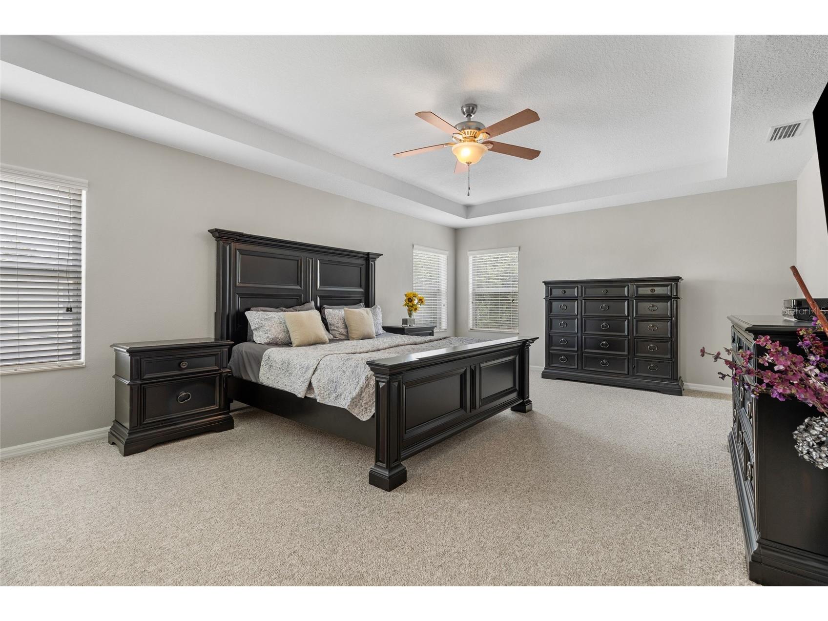 4419 Wildstar Circle Wesley Chapel FL 33544 TB8515886 image42