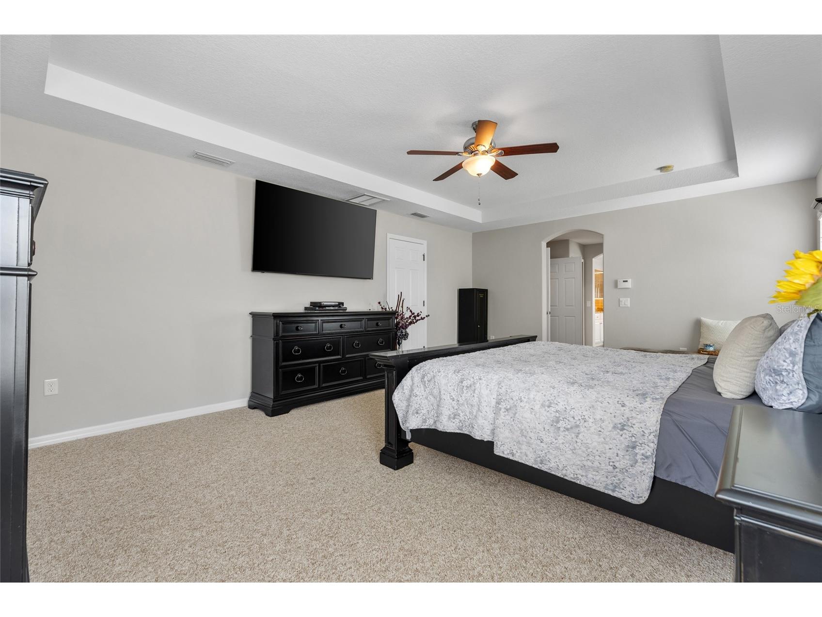 4419 Wildstar Circle Wesley Chapel FL 33544 TB8515886 image44