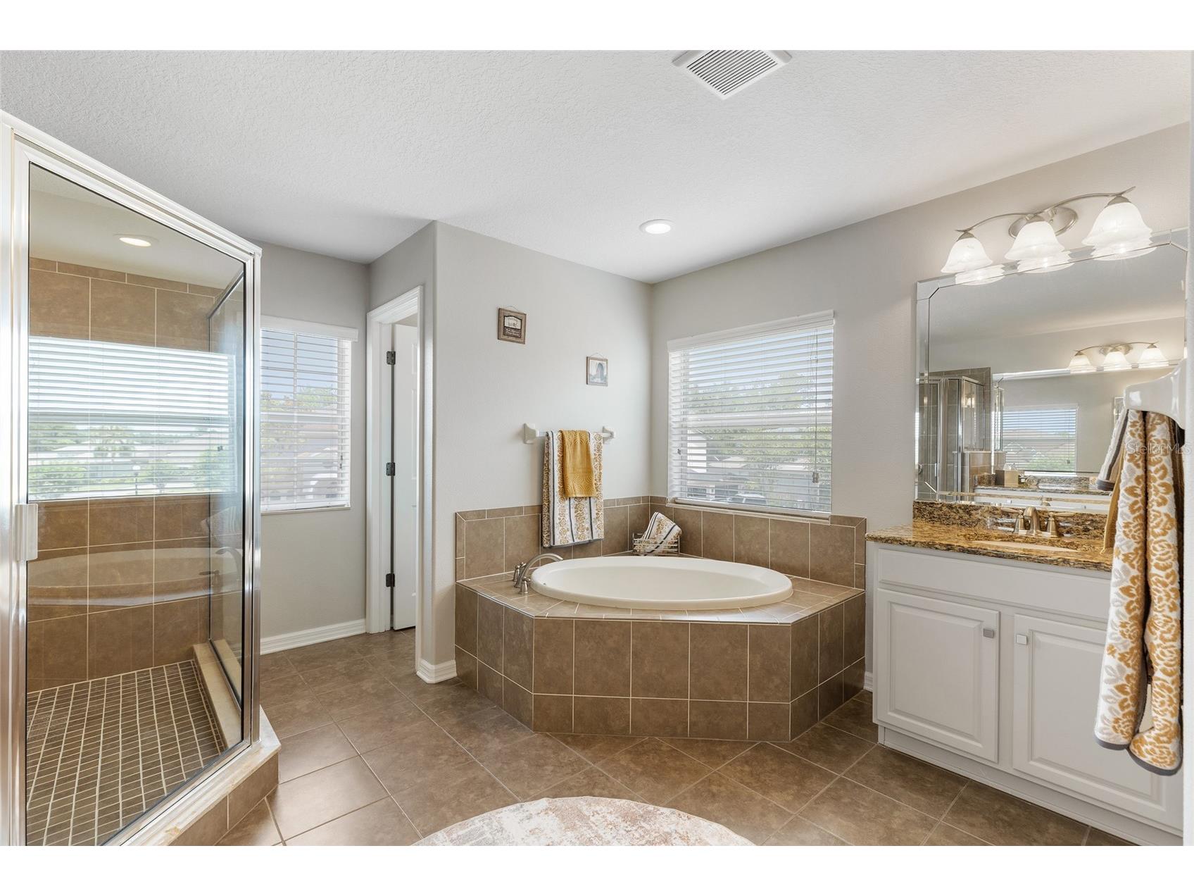 4419 Wildstar Circle Wesley Chapel FL 33544 TB8515886 image46