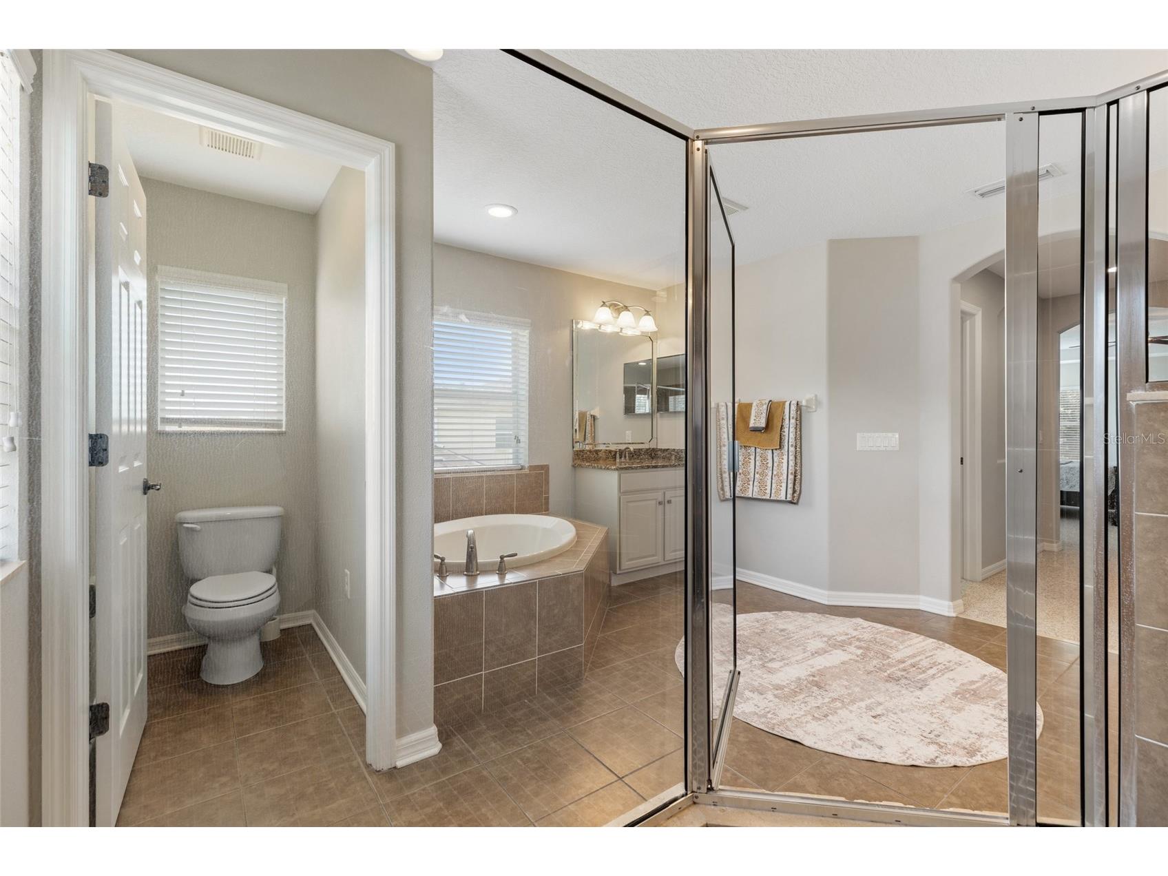 4419 Wildstar Circle Wesley Chapel FL 33544 TB8515886 image47
