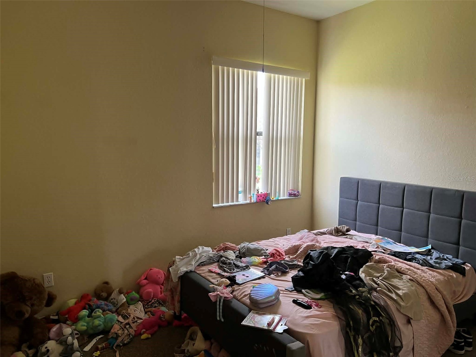 442 Caraway Drive Kissimmee FL 34759 S5146971 image13