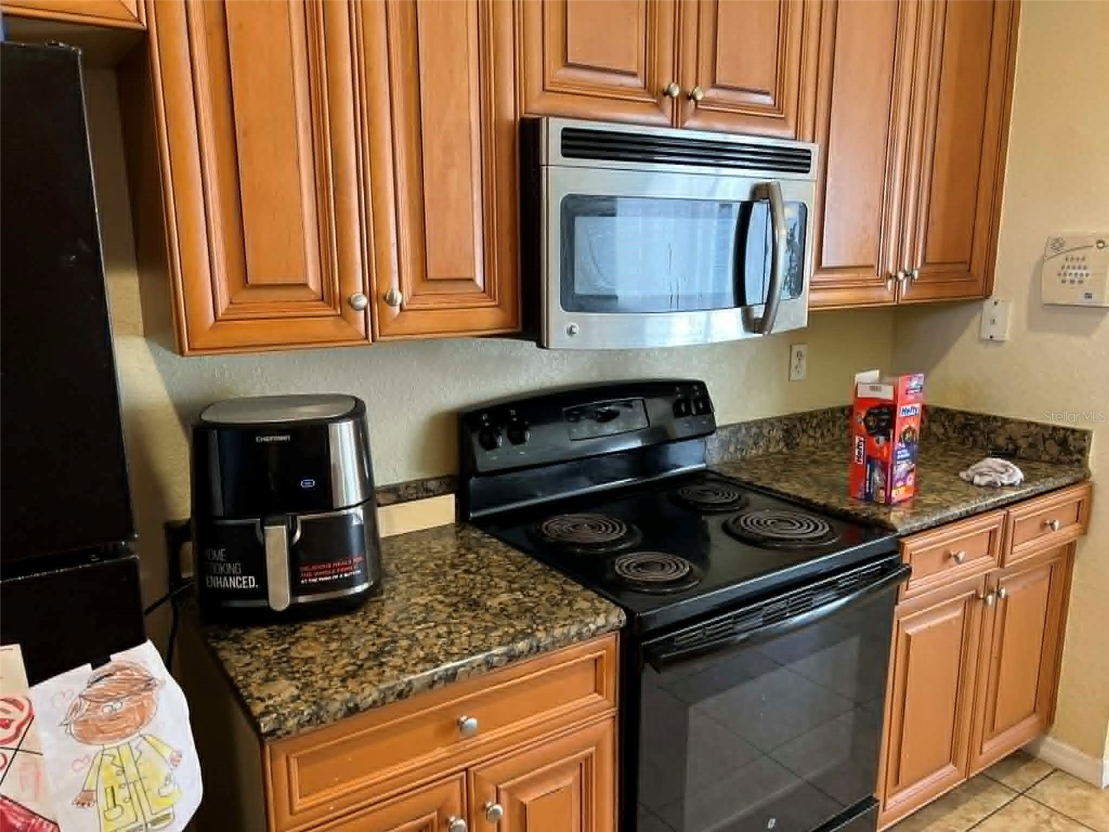 442 Caraway Drive Kissimmee FL 34759 S5146971 image4