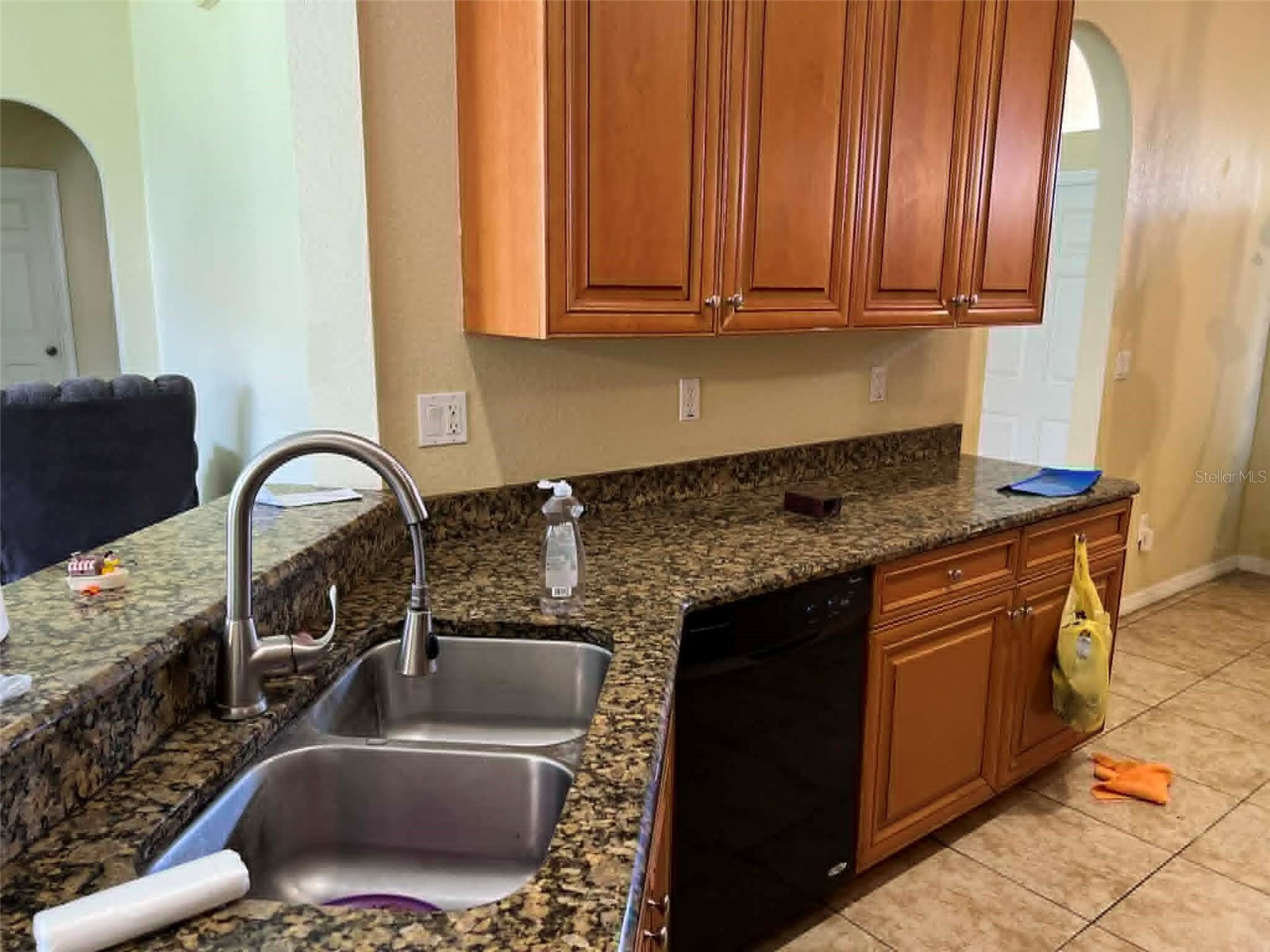 442 Caraway Drive Kissimmee FL 34759 S5146971 image6