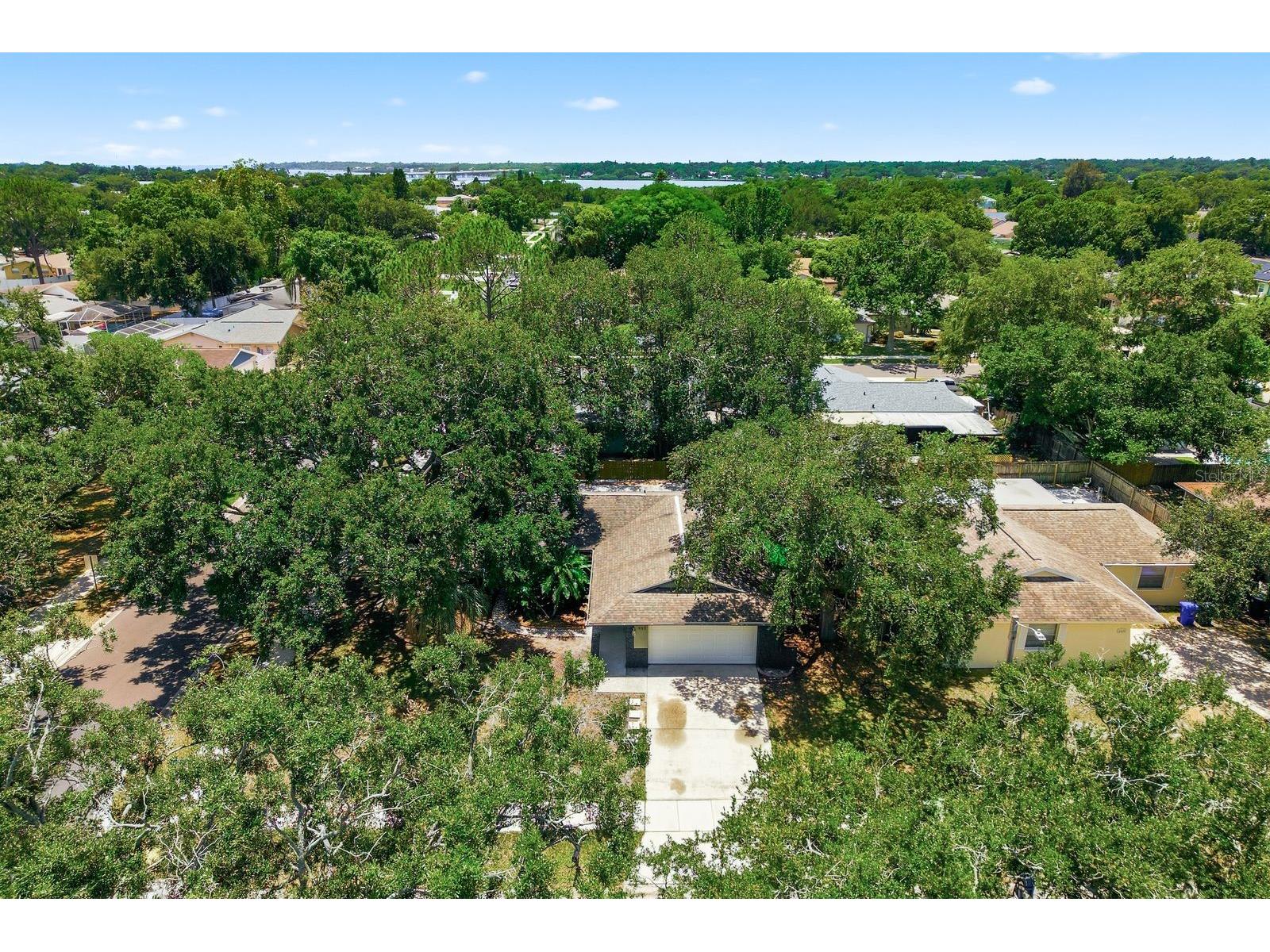 442 Evergreen Drive Oldsmar FL 34677 TB8517079 image40