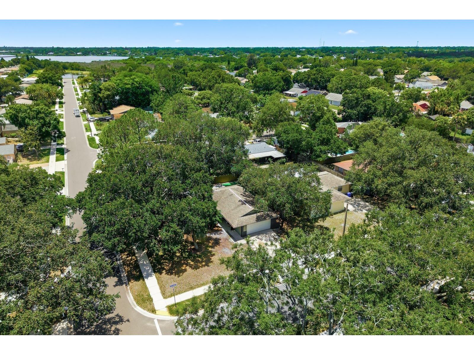 442 Evergreen Drive Oldsmar FL 34677 TB8517079 image41