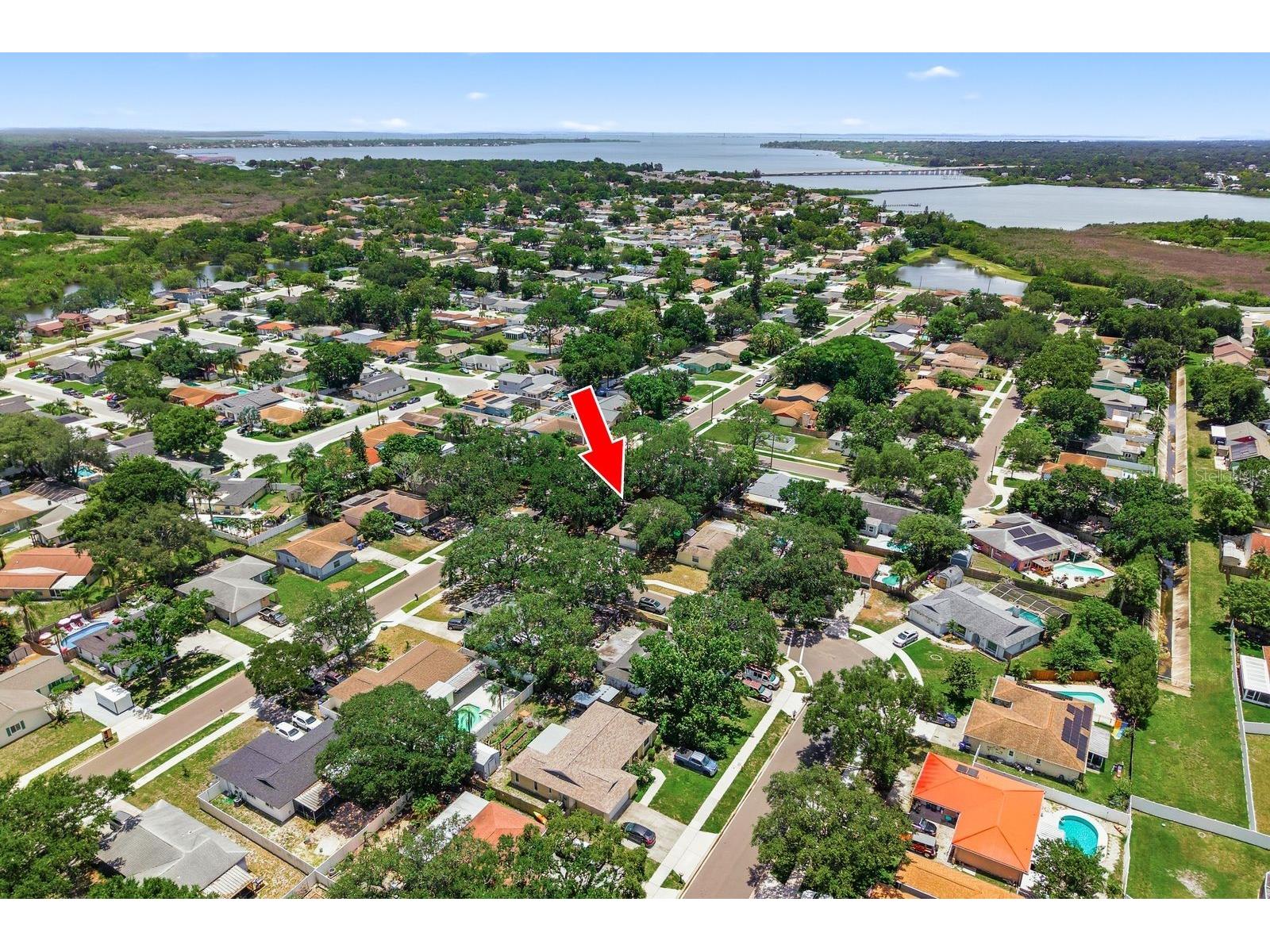 442 Evergreen Drive Oldsmar FL 34677 TB8517079 image44