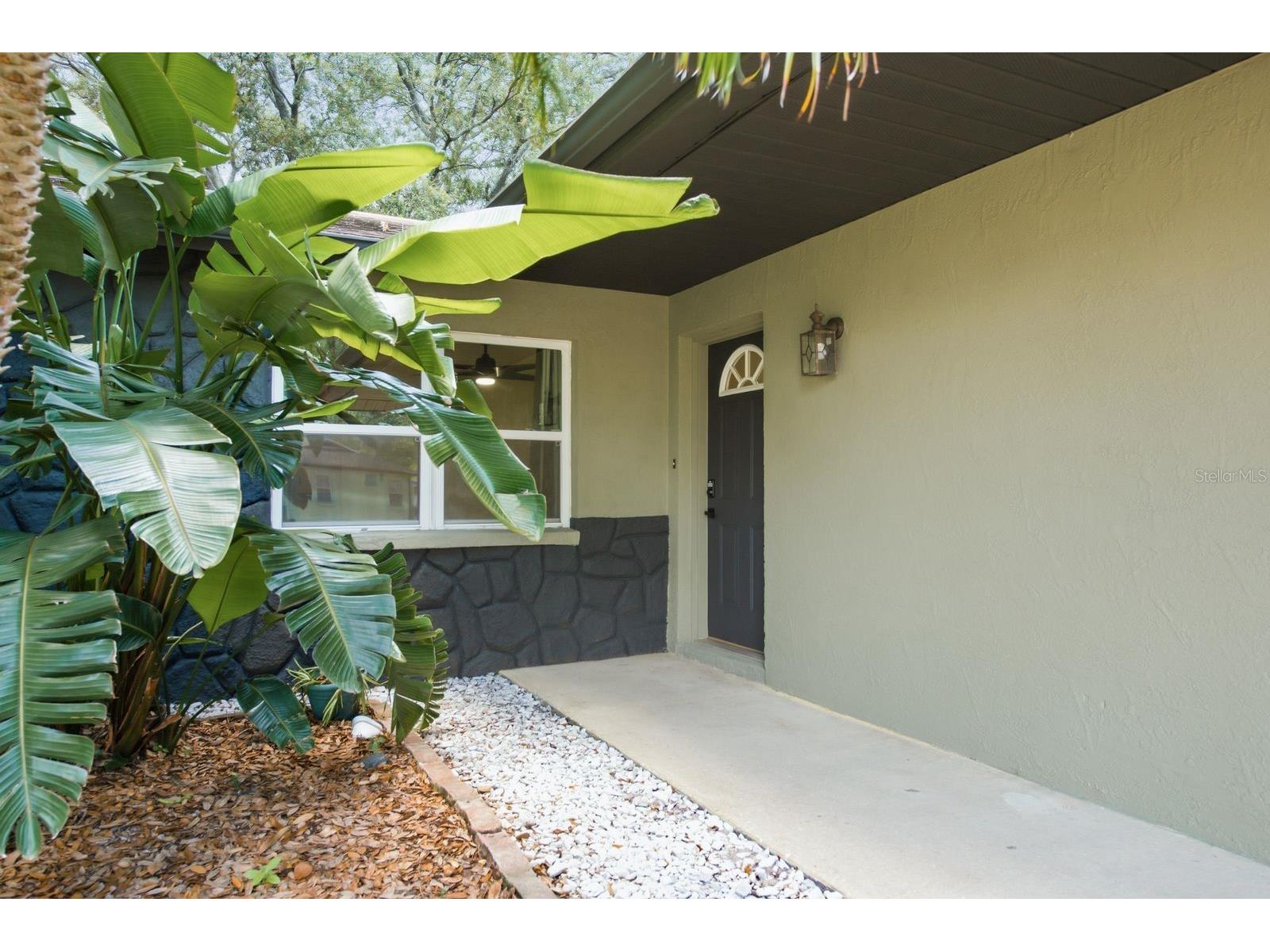 442 Evergreen Drive Oldsmar FL 34677 TB8517079 image5