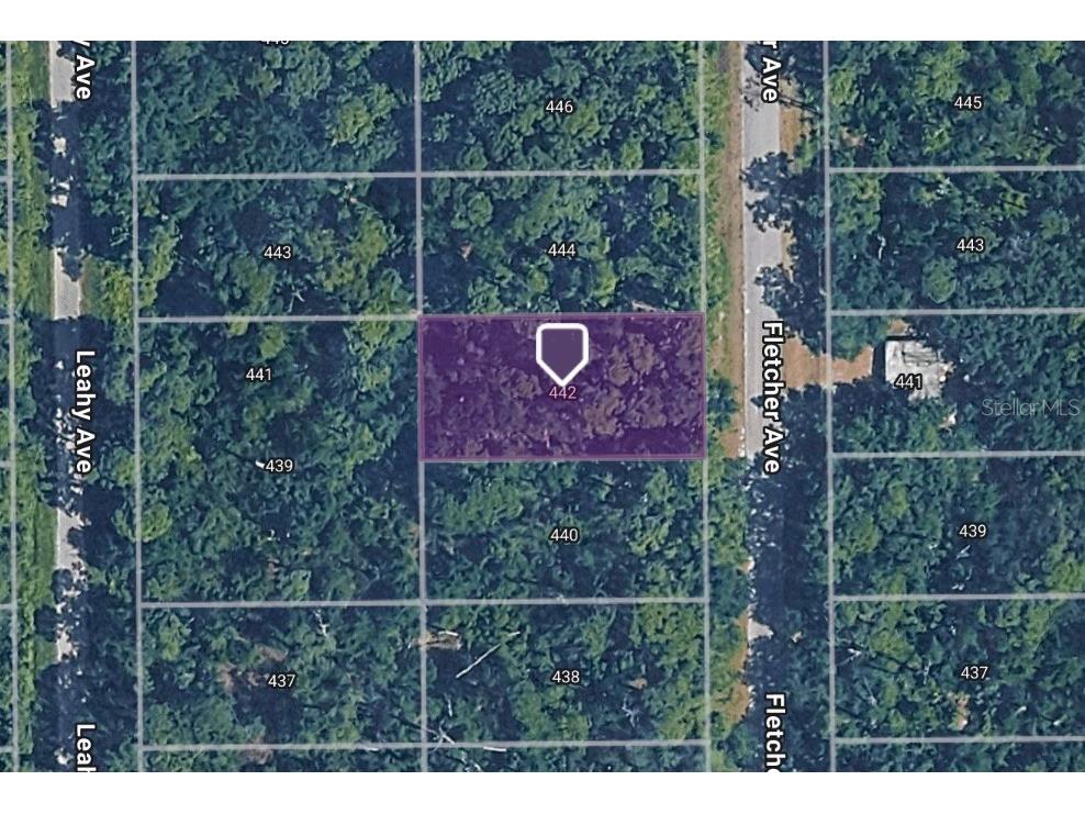 442 Fletcher Avenue Lake Placid FL 33852 TB8522891 image1