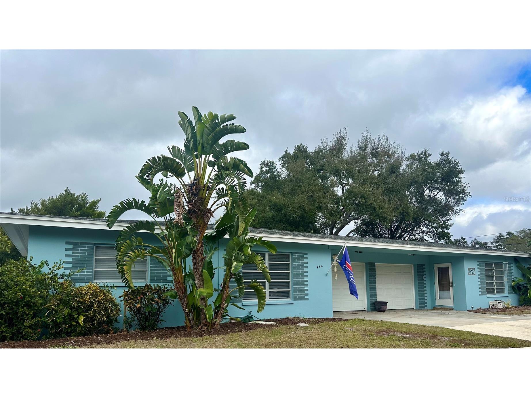 442 Lyndhurst Street Dunedin FL 34698 TB8504547 image1
