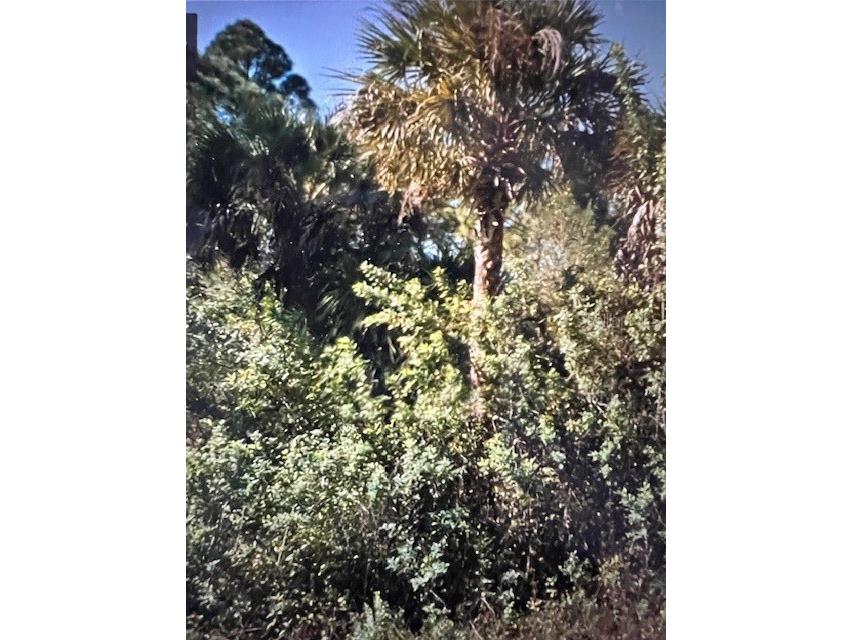 442 Mallory Avenue S Lehigh Acres FL 33974 OM672704 image1