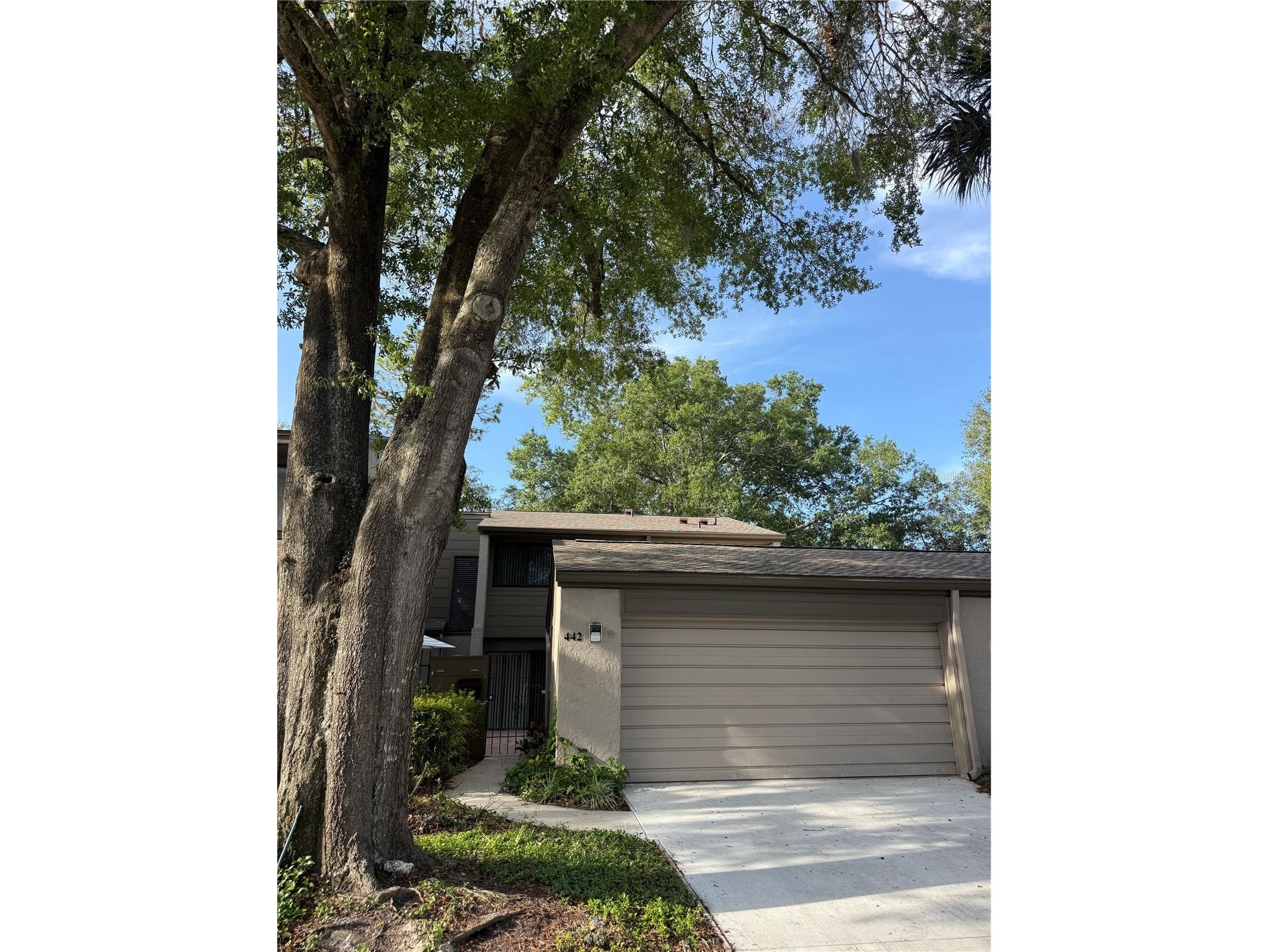 442 Meadowood Boulevard Fern Park FL 32730 O6411337 image4