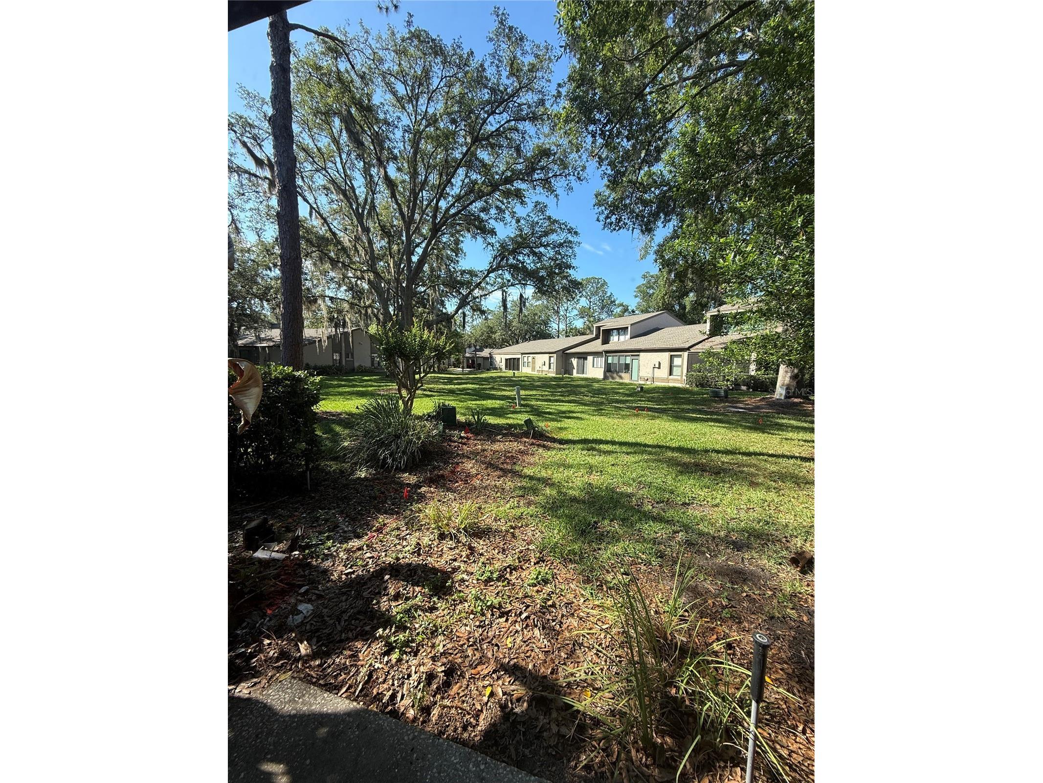 442 Meadowood Boulevard Fern Park FL 32730 O6411337 image5