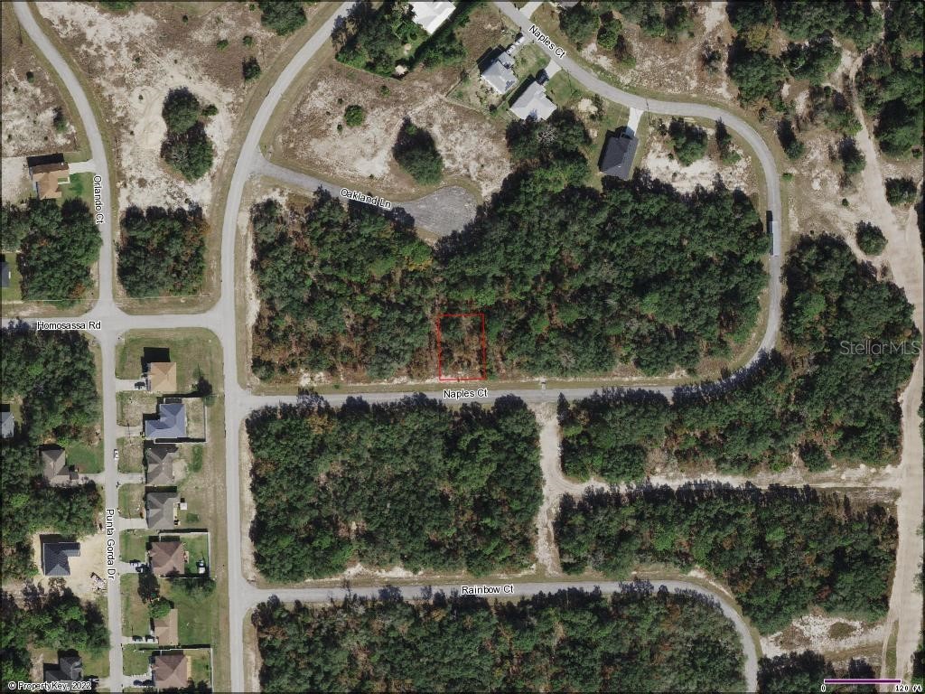 442 Naples Court Poinciana FL 34759 O6079262 image1