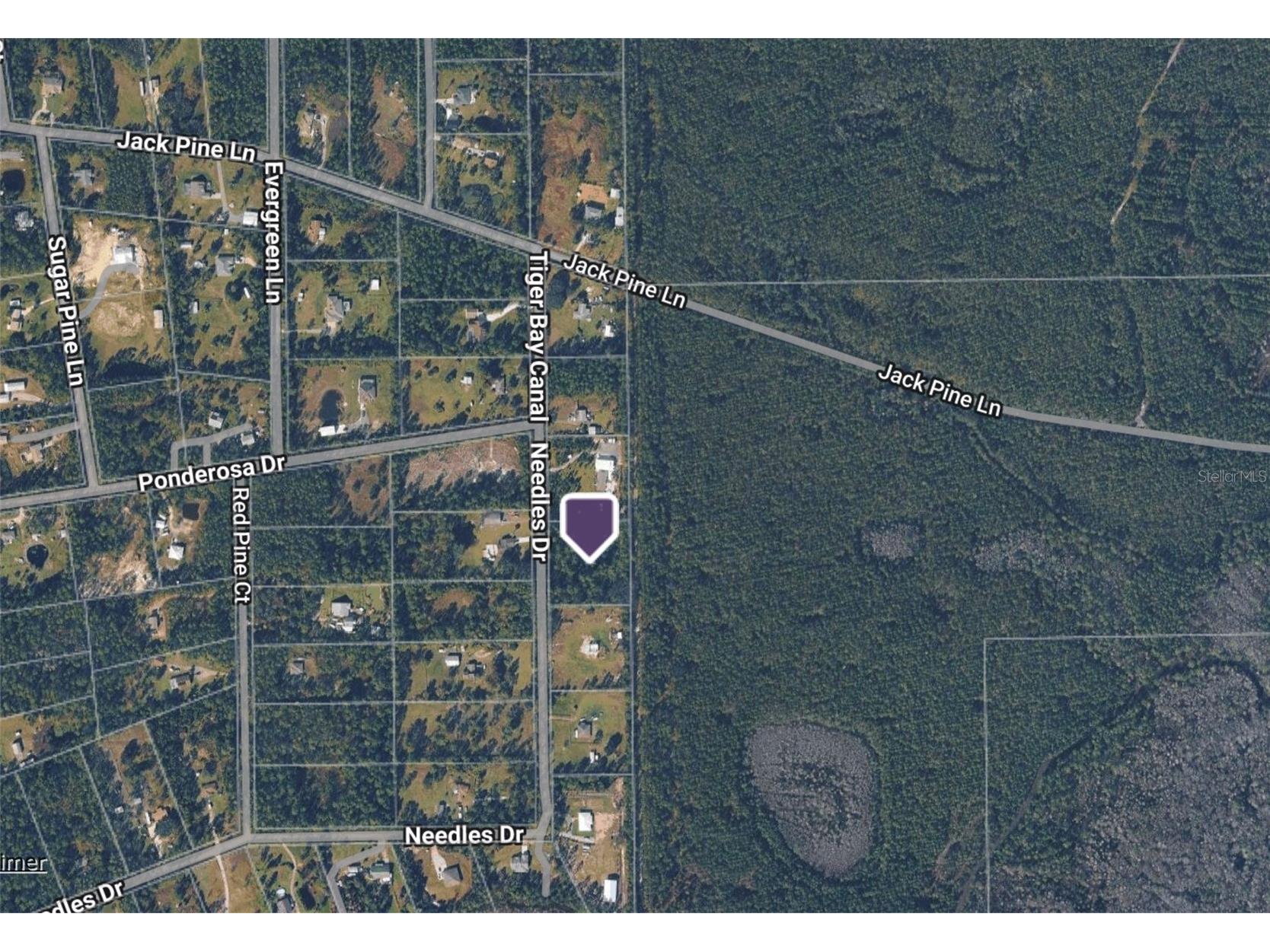 442 Needles Drive Ormond Beach FL 32174 NS1088288 image1