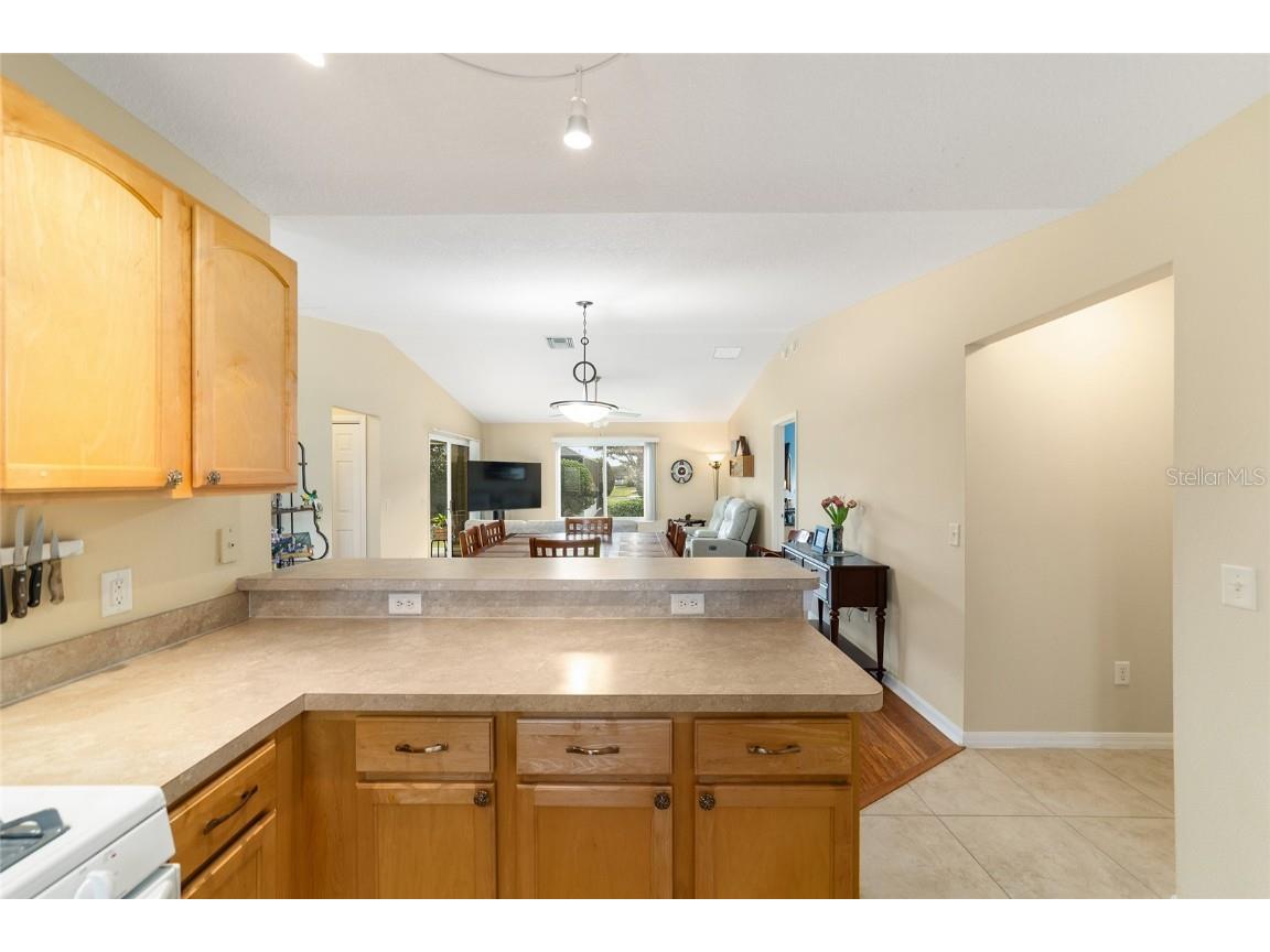 442 Pace Lane The Villages FL 32162 OM713510 image32