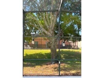 442 Vizcay Way Davenport FL 33837 O6407988 image18