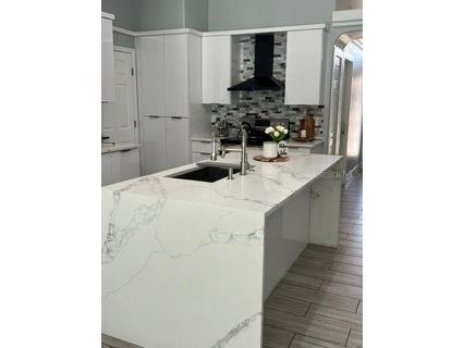 442 Vizcay Way Davenport FL 33837 O6407988 image8