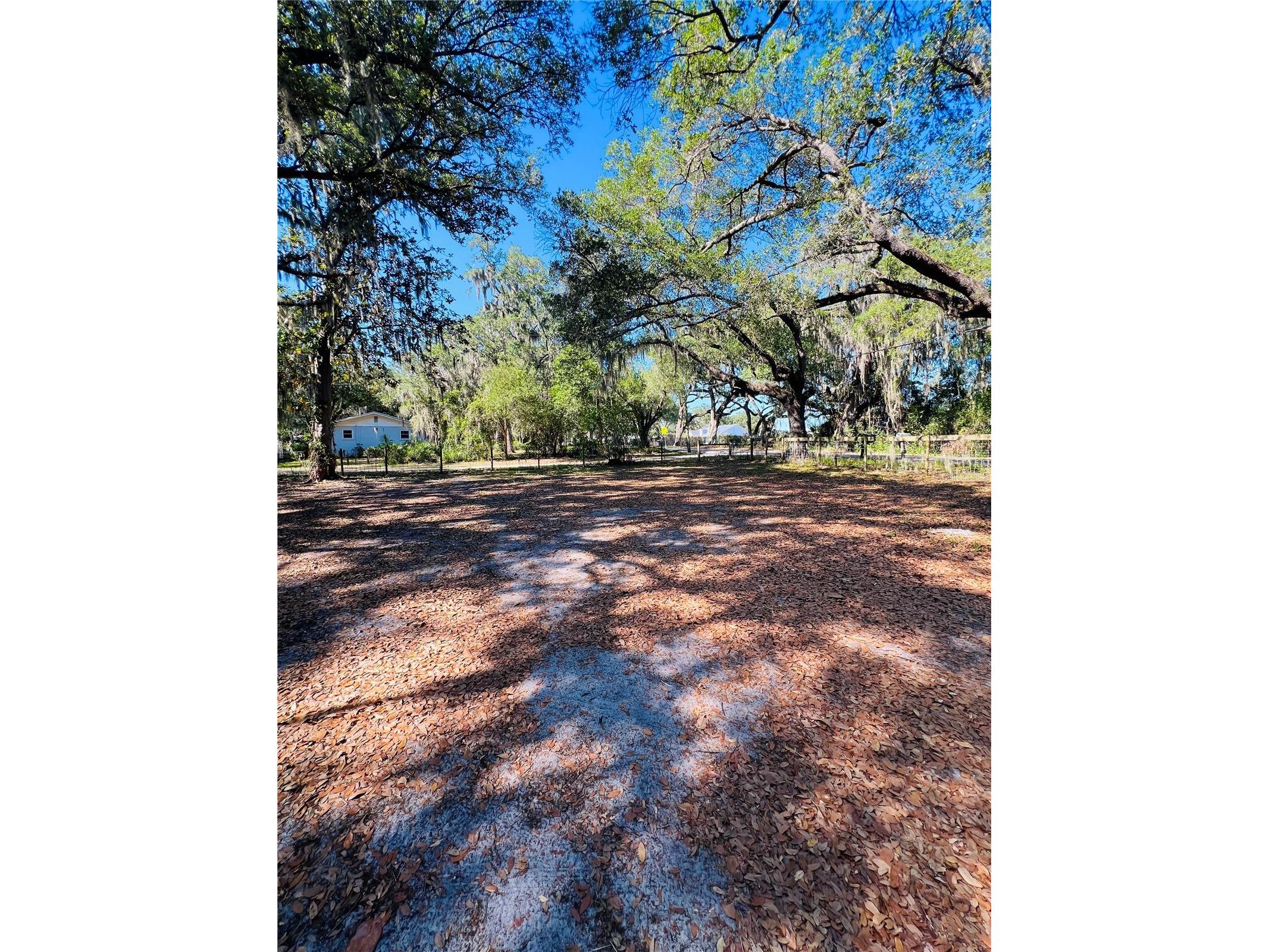 4420 Bailey Road Mulberry FL 33860 TB8506636 image18