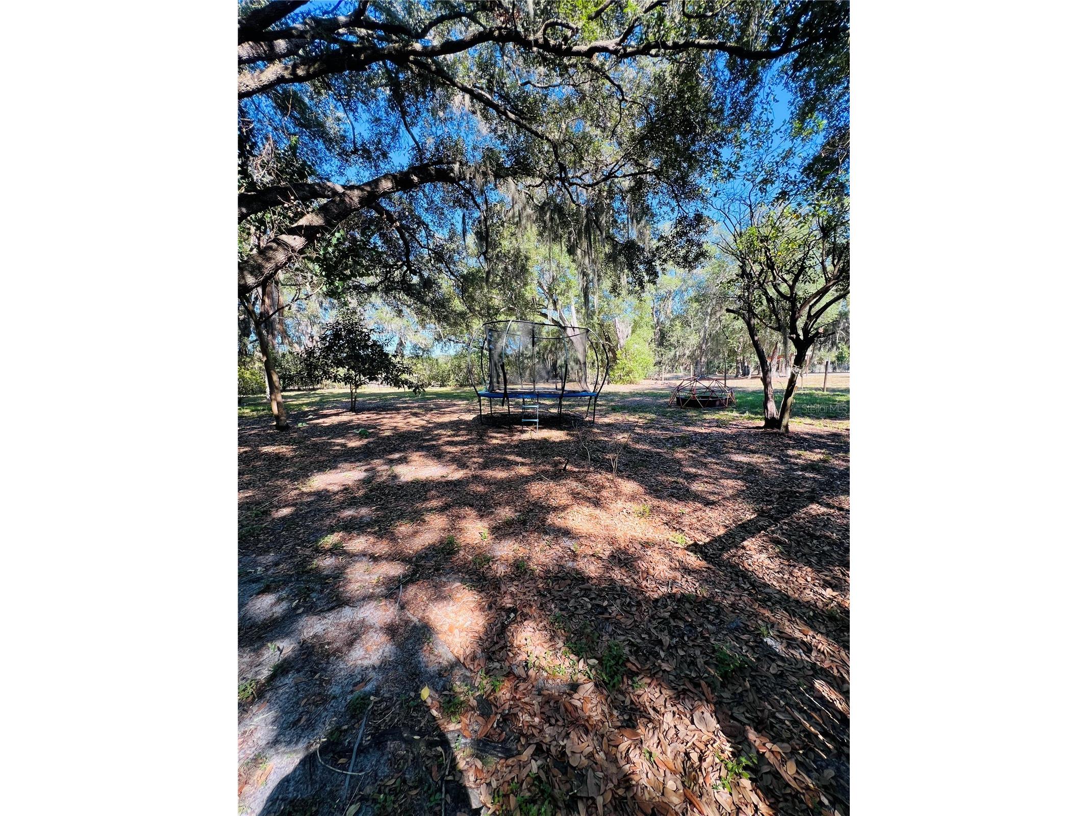 4420 Bailey Road Mulberry FL 33860 TB8506636 image21