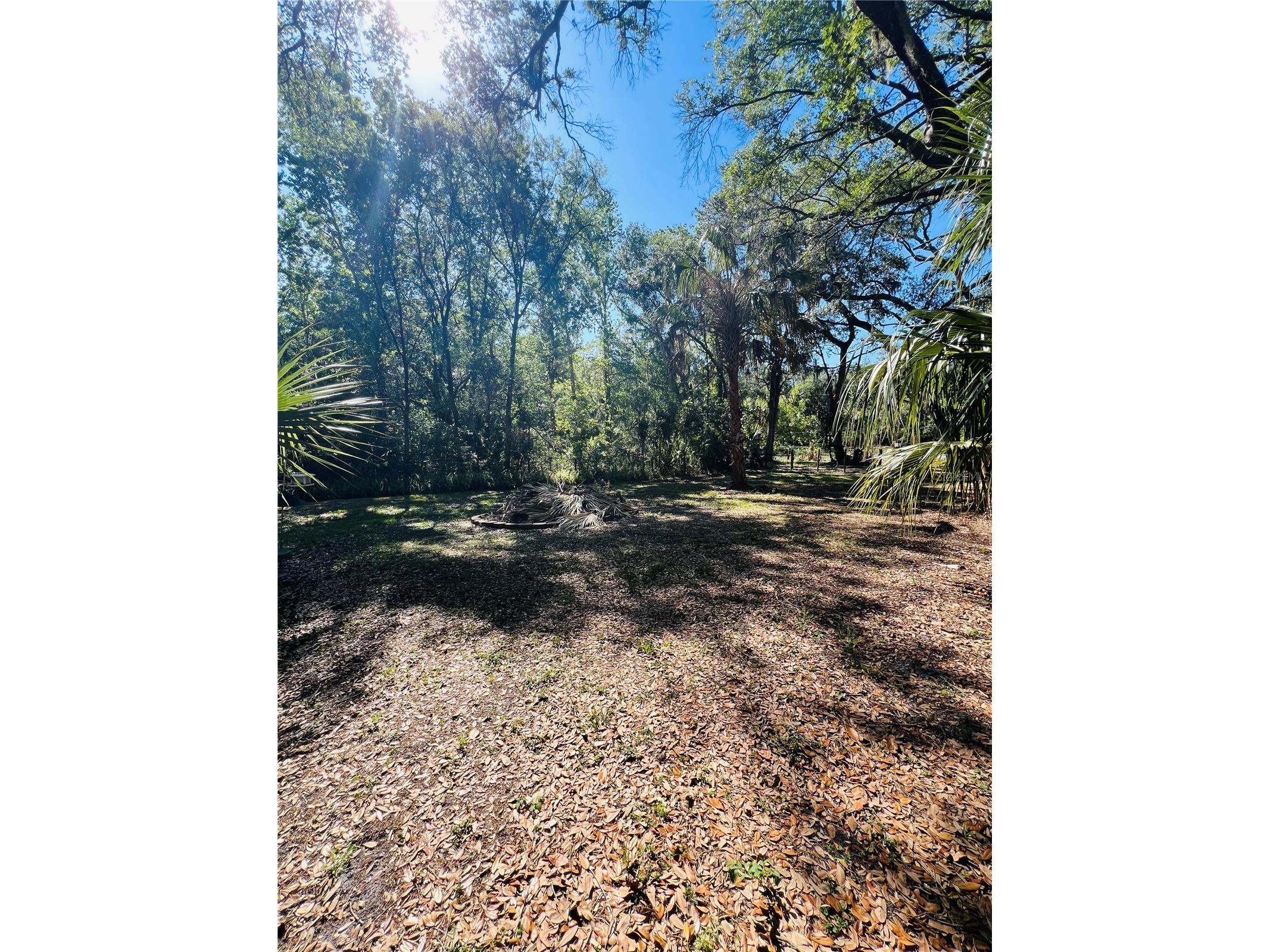 4420 Bailey Road Mulberry FL 33860 TB8506636 image23